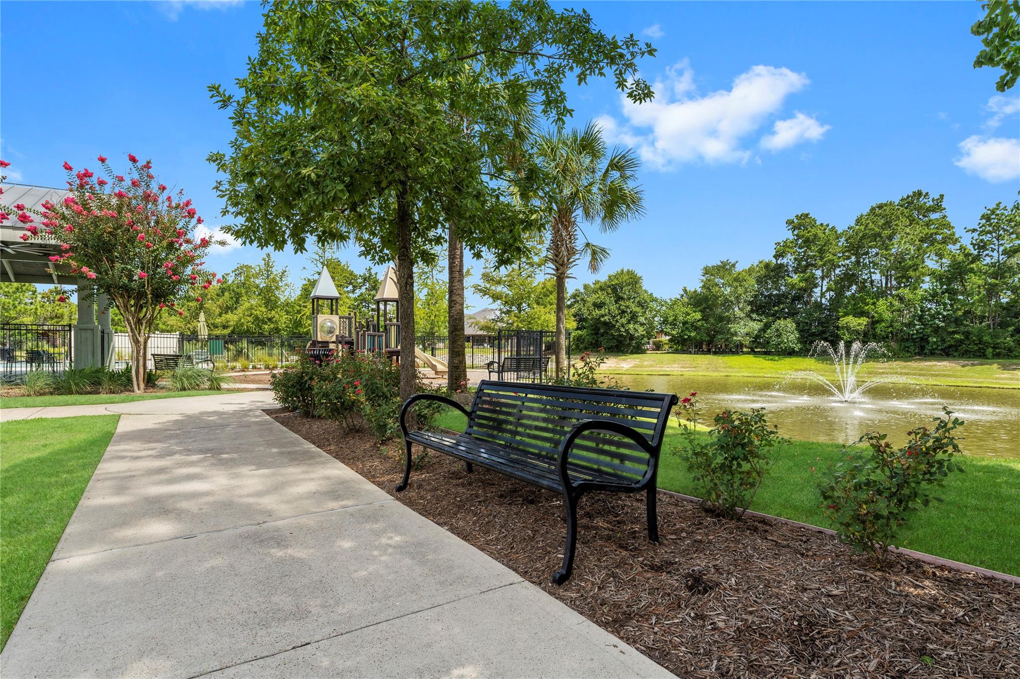 17696 Tree Of Heaven