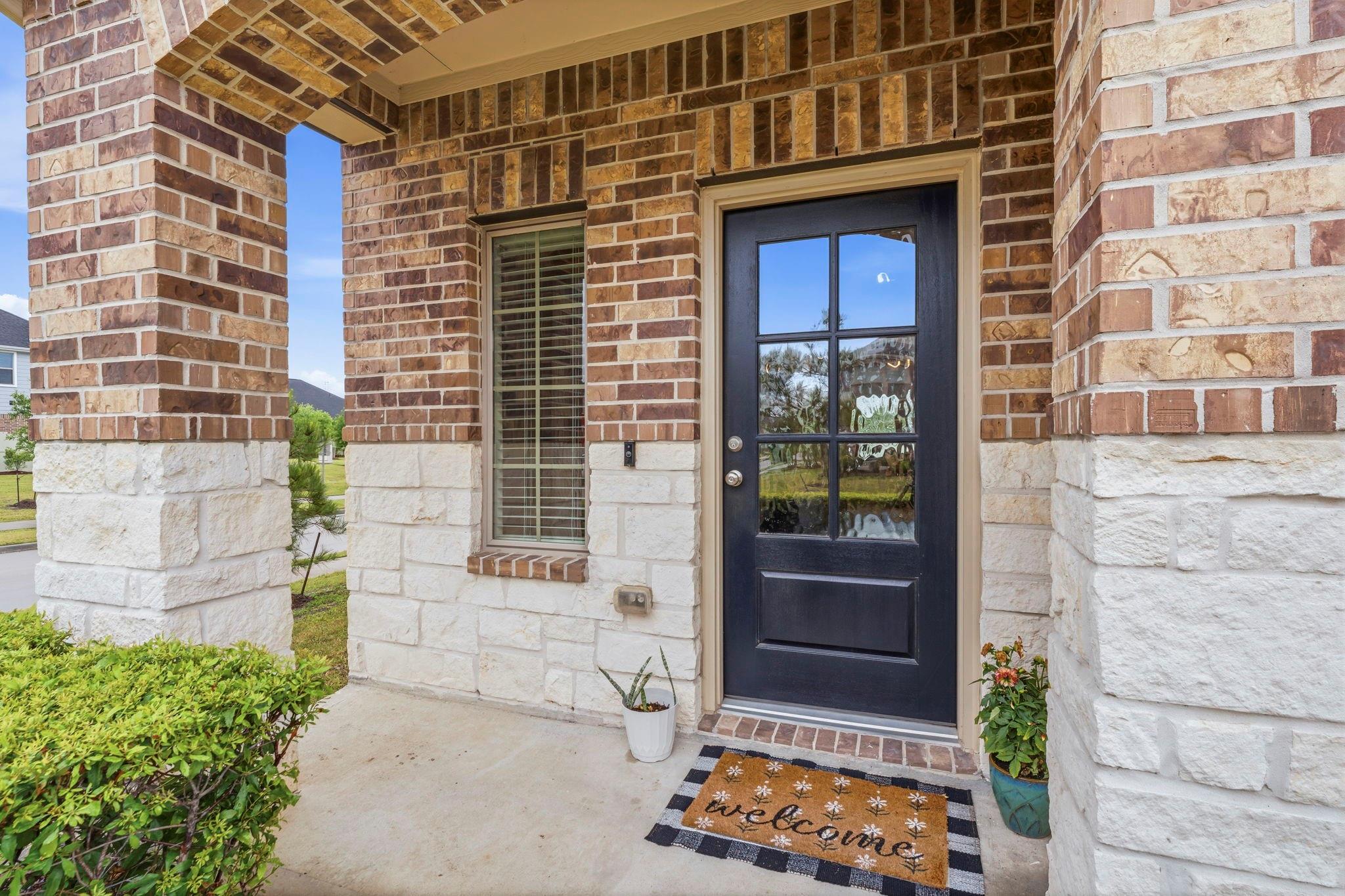 17696 Tree Of Heaven