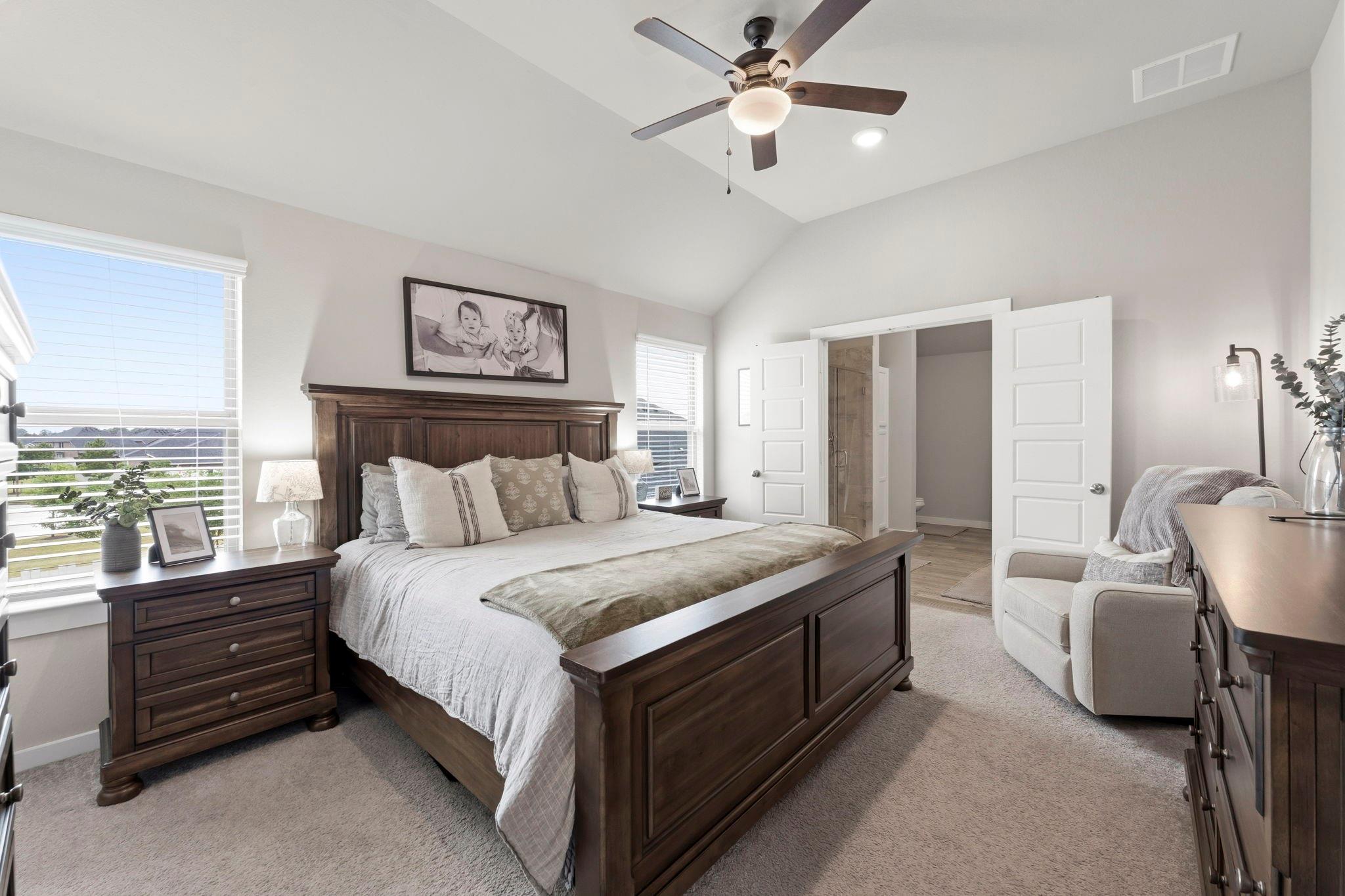 17696 Tree Of Heaven