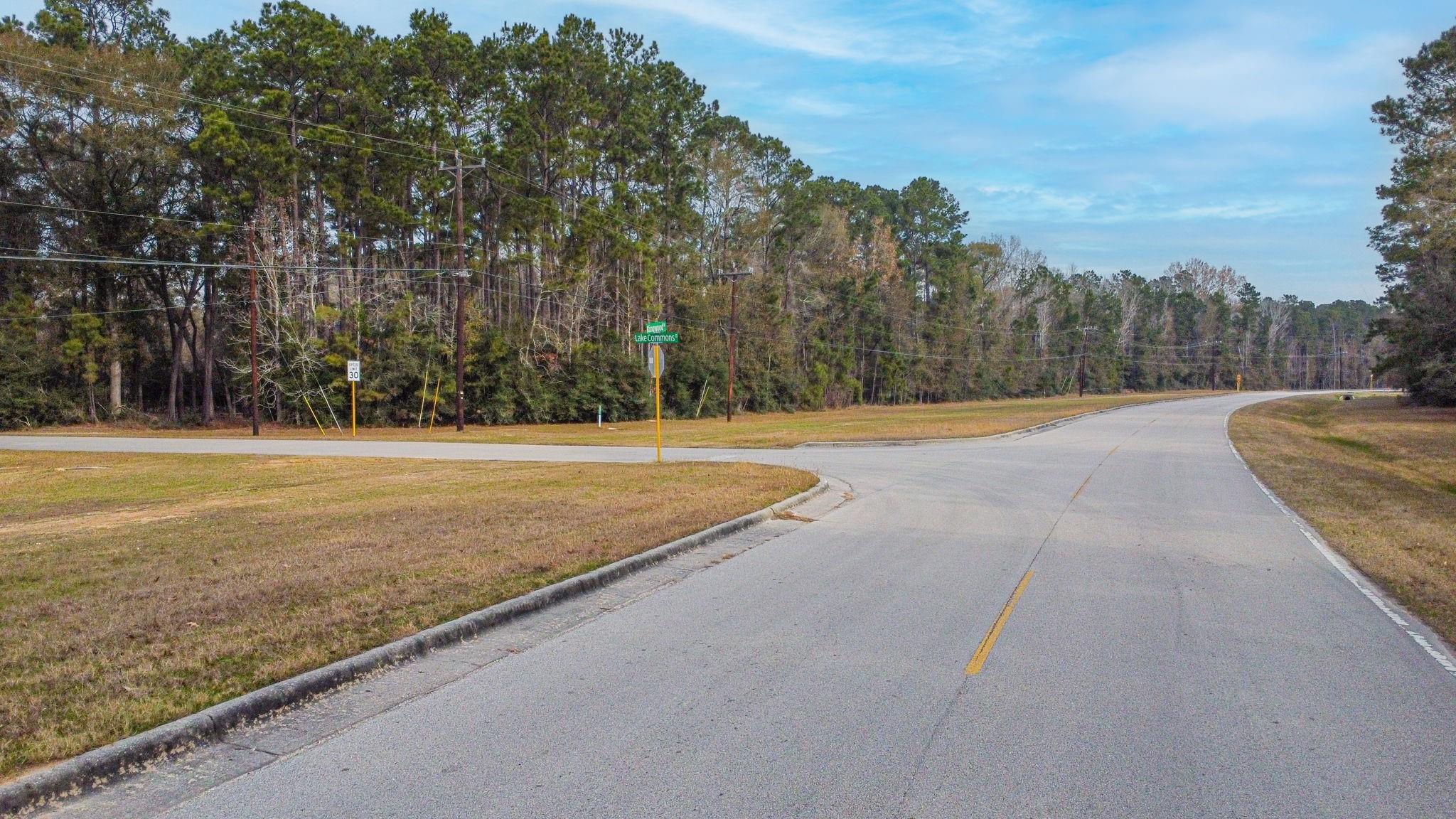 235 Lake Commons Court