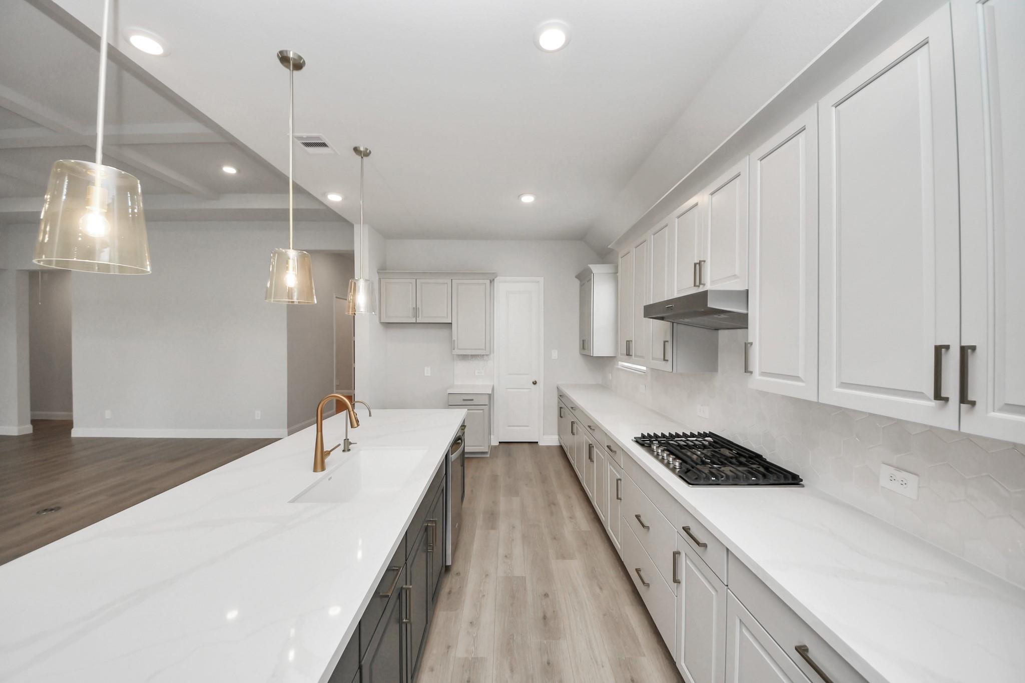 17321 July Moon Lane