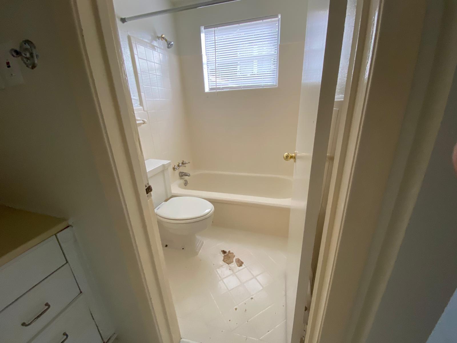 1909 Colquitt Street # 3