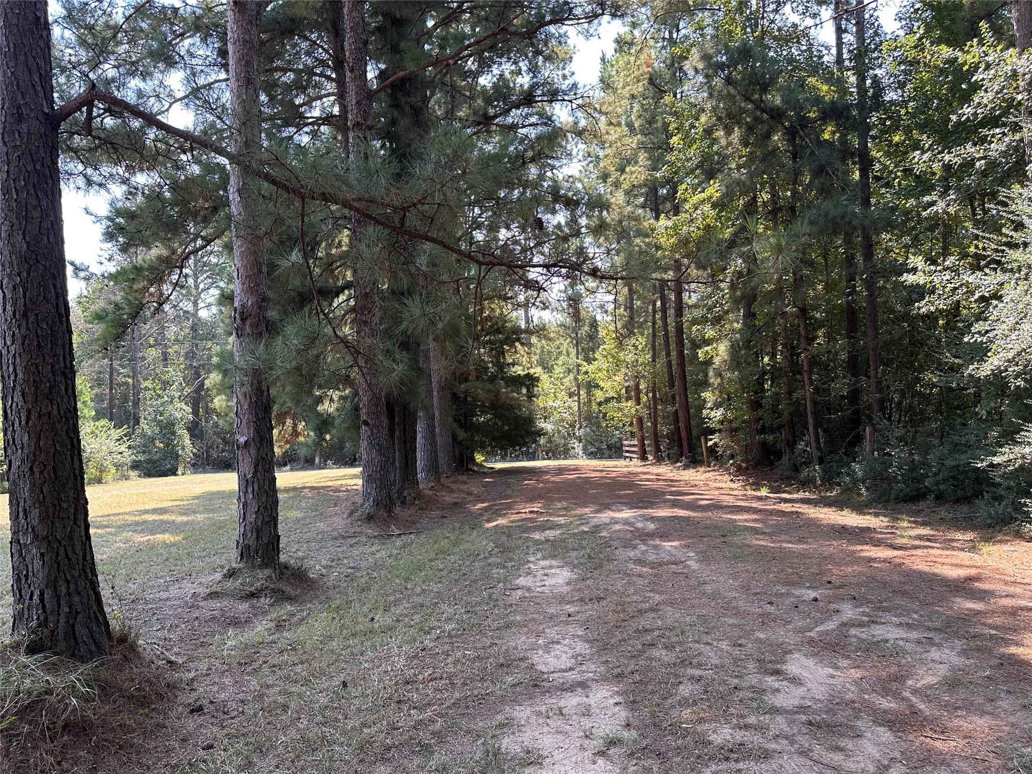 3653 County Road 1170