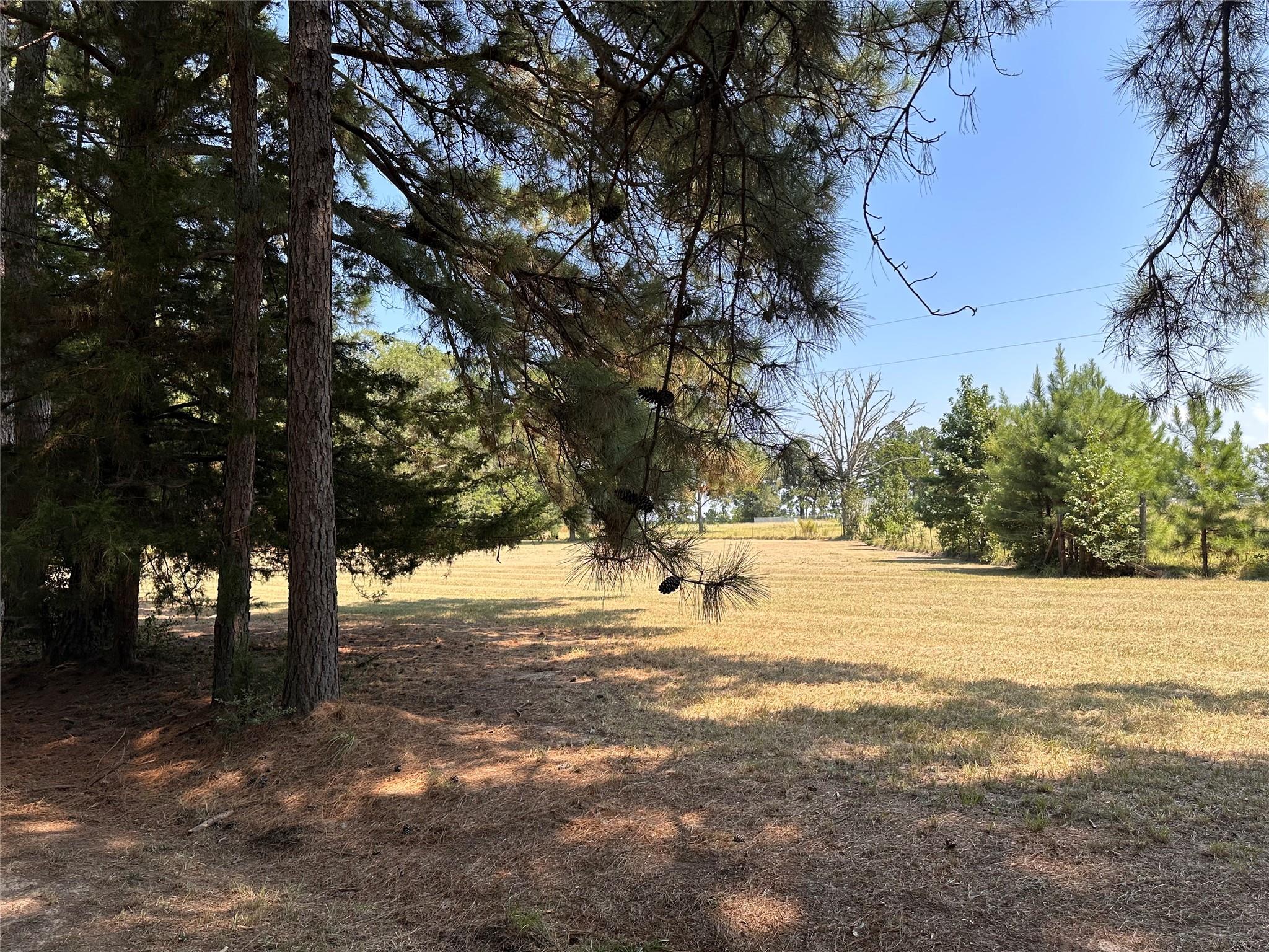 3653 County Road 1170