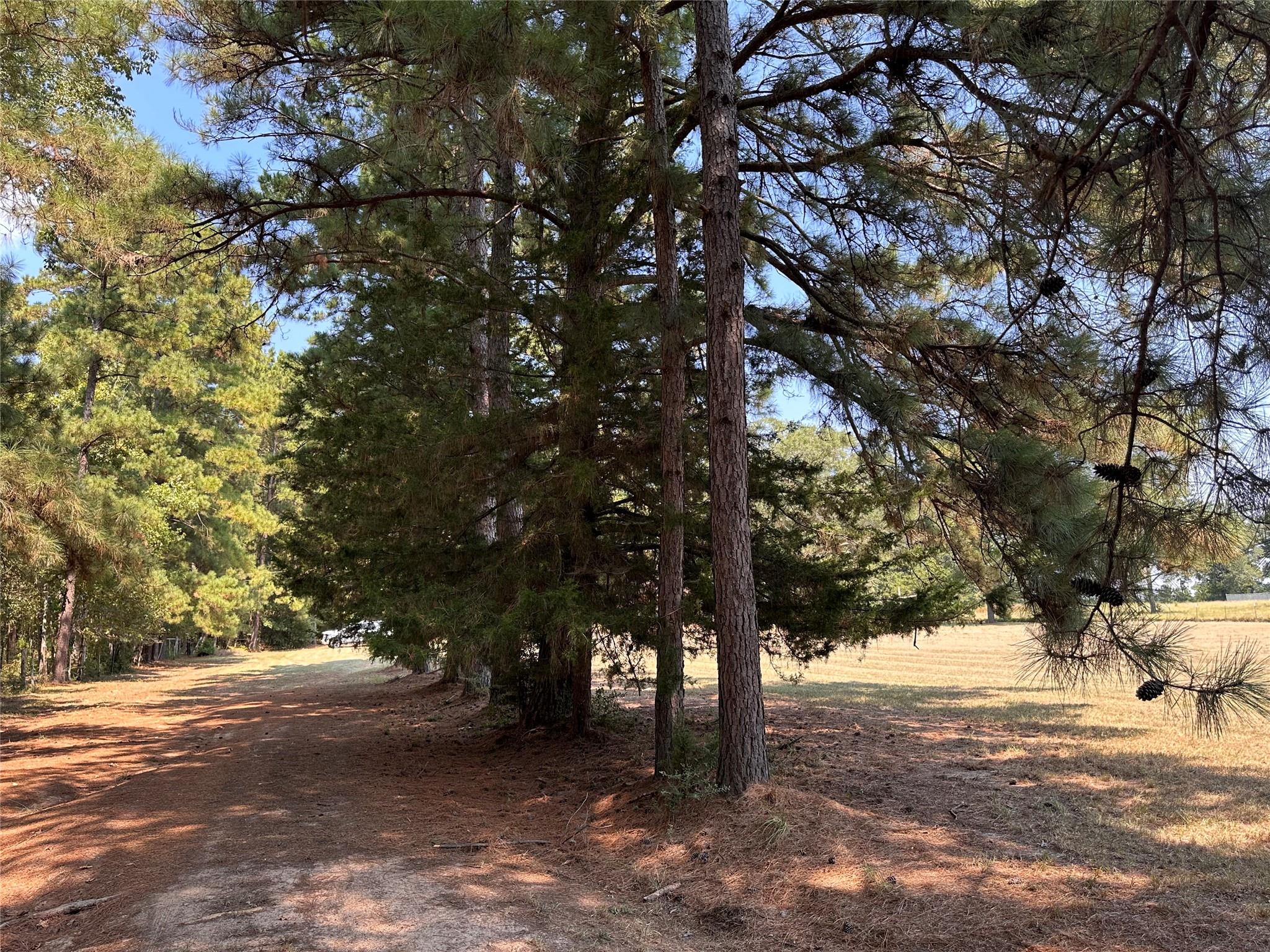 3653 County Road 1170