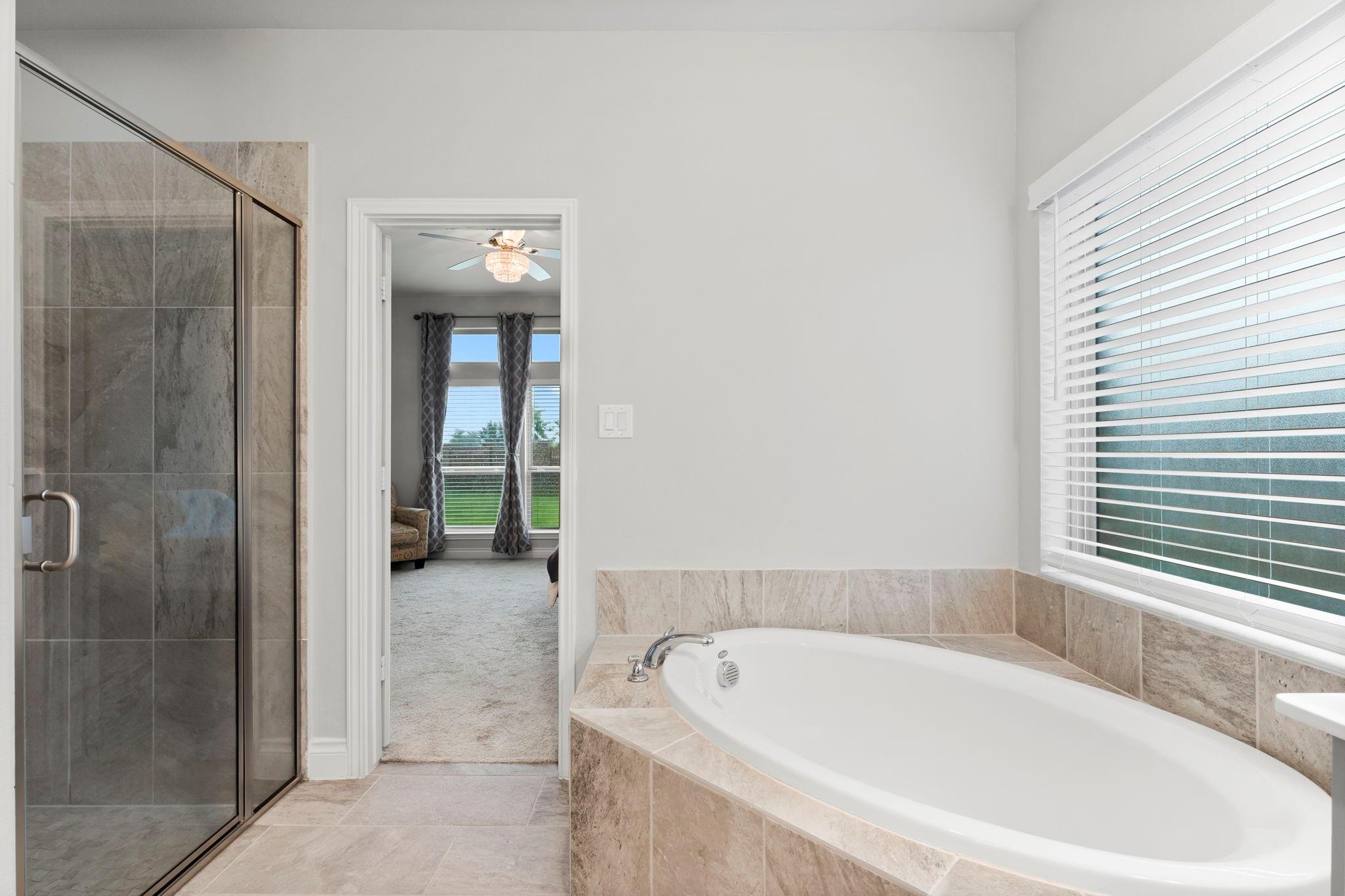 19838 Blue Roan Drive