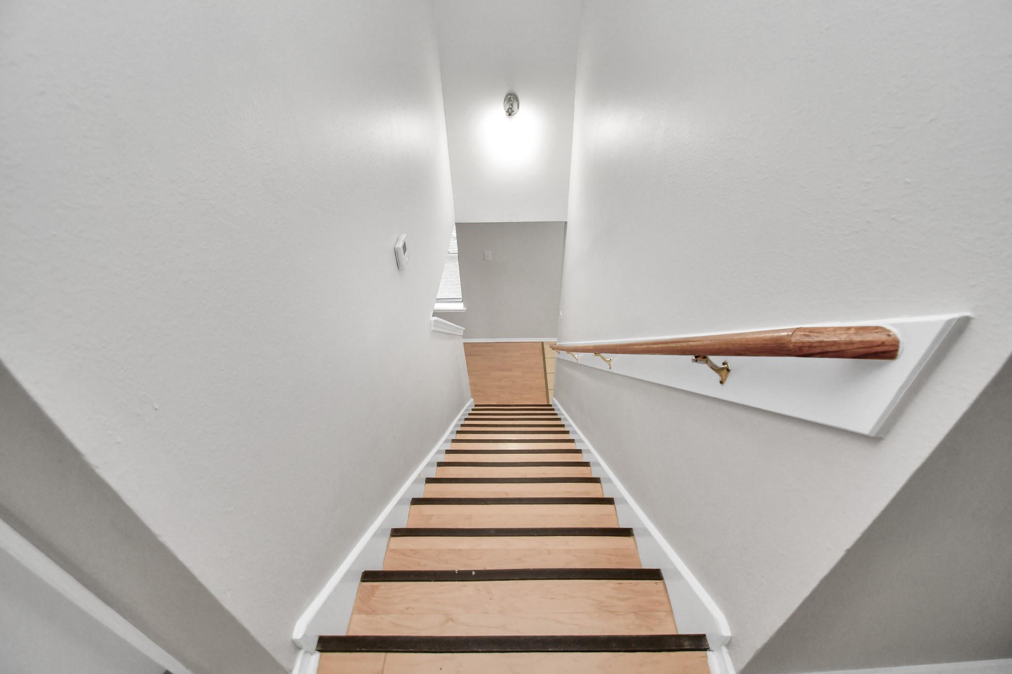 3919 Rolling Springs Lane