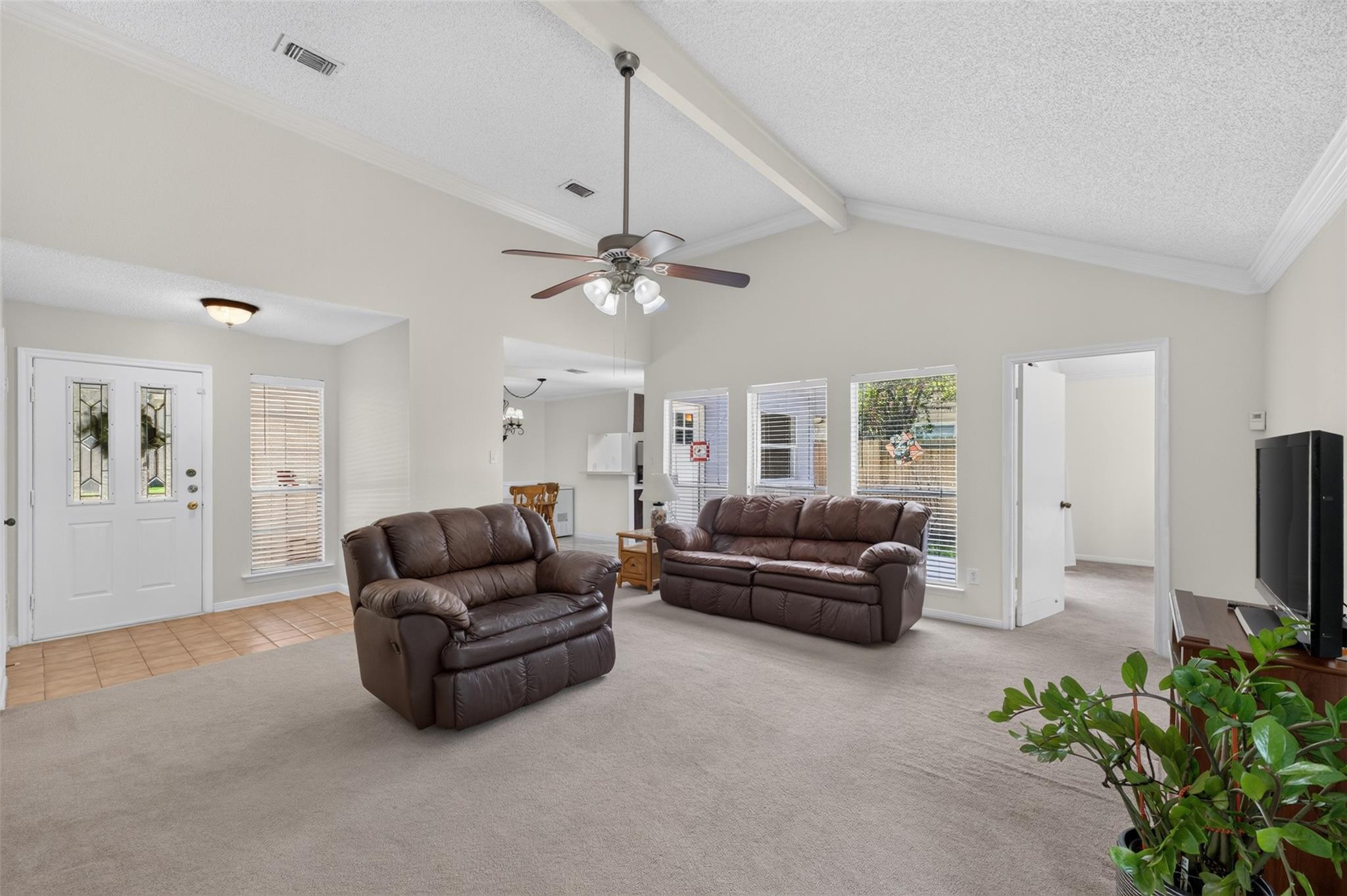 28 S Rain Forest Court