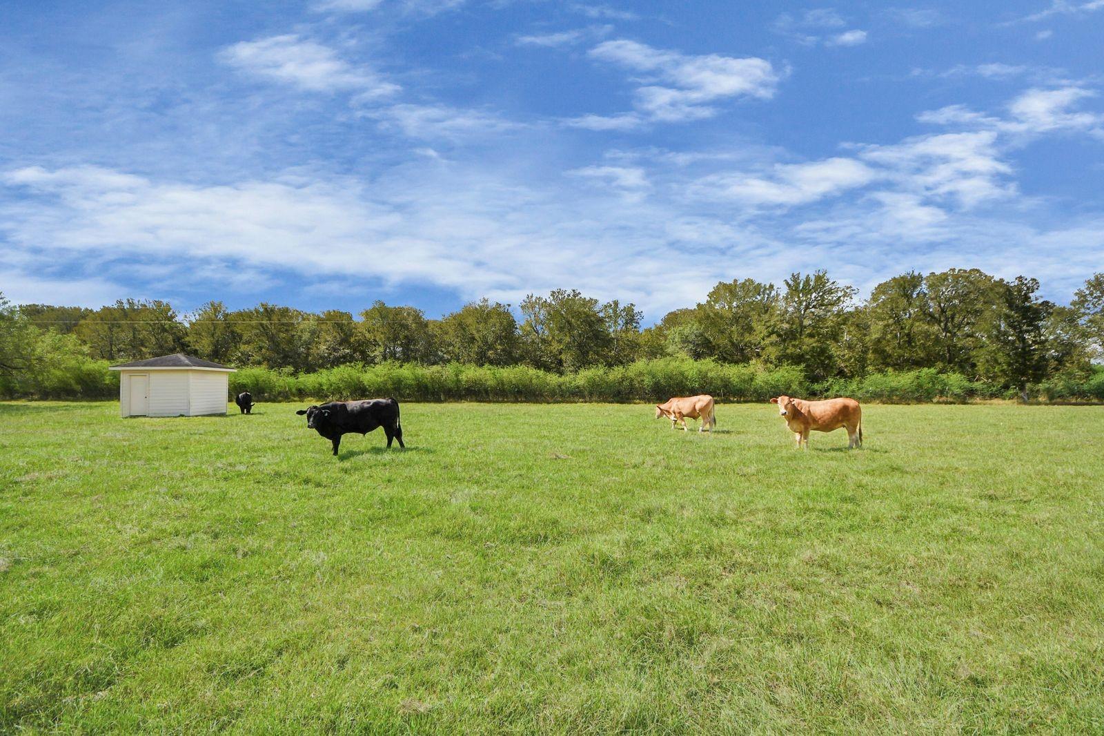 5360 Muske Lane, Pattison