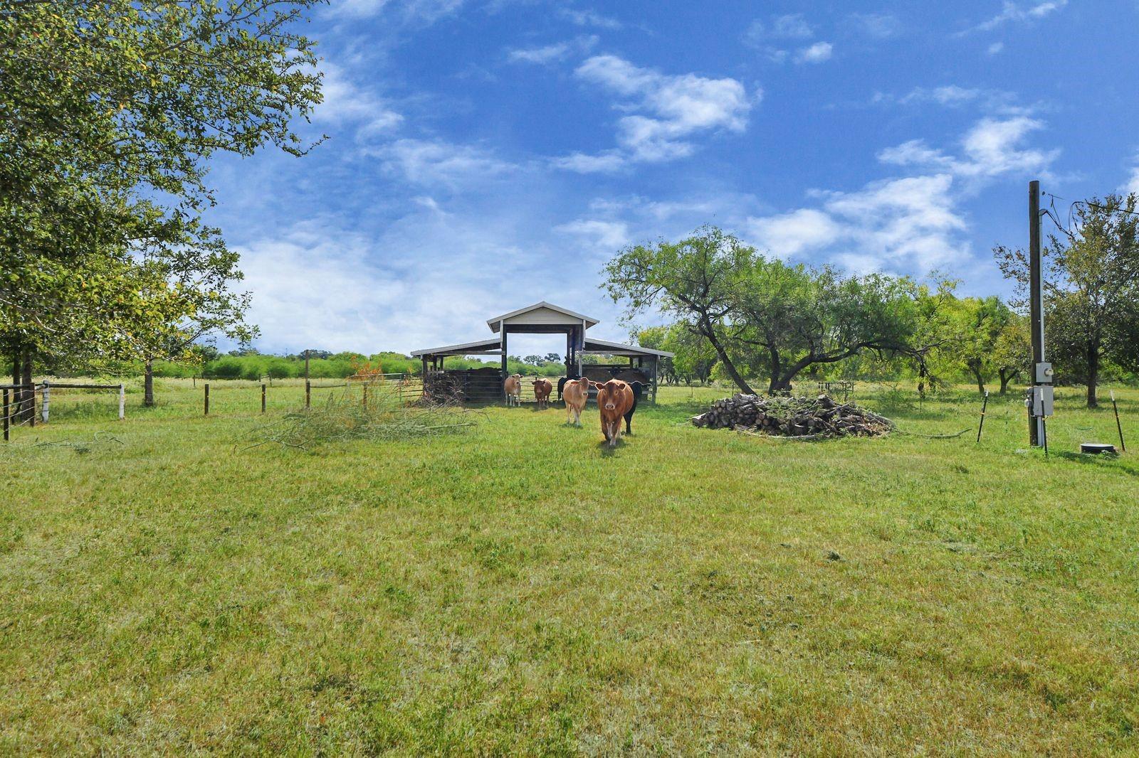 5360 Muske Lane, Pattison