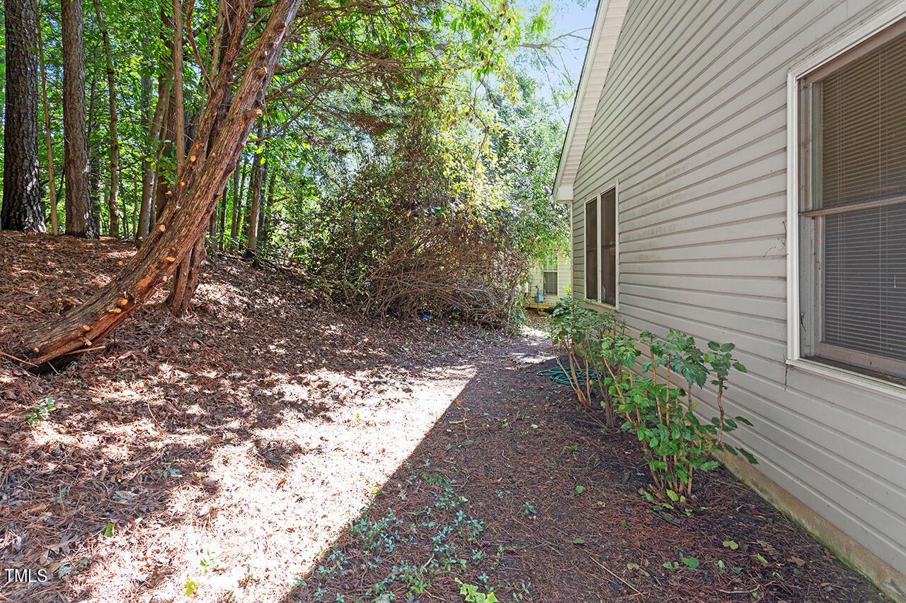 2016 Deep Forest Trail