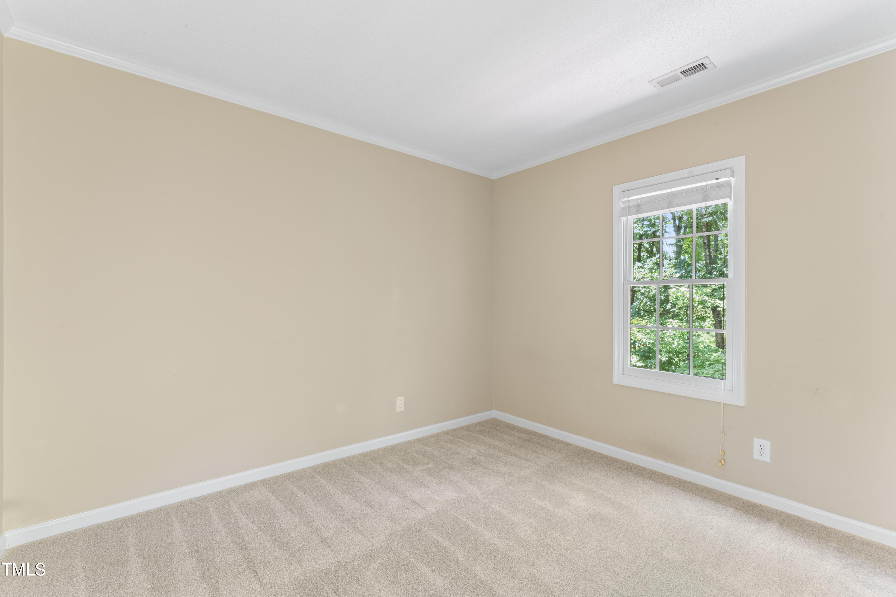 216 Mint Hill Drive