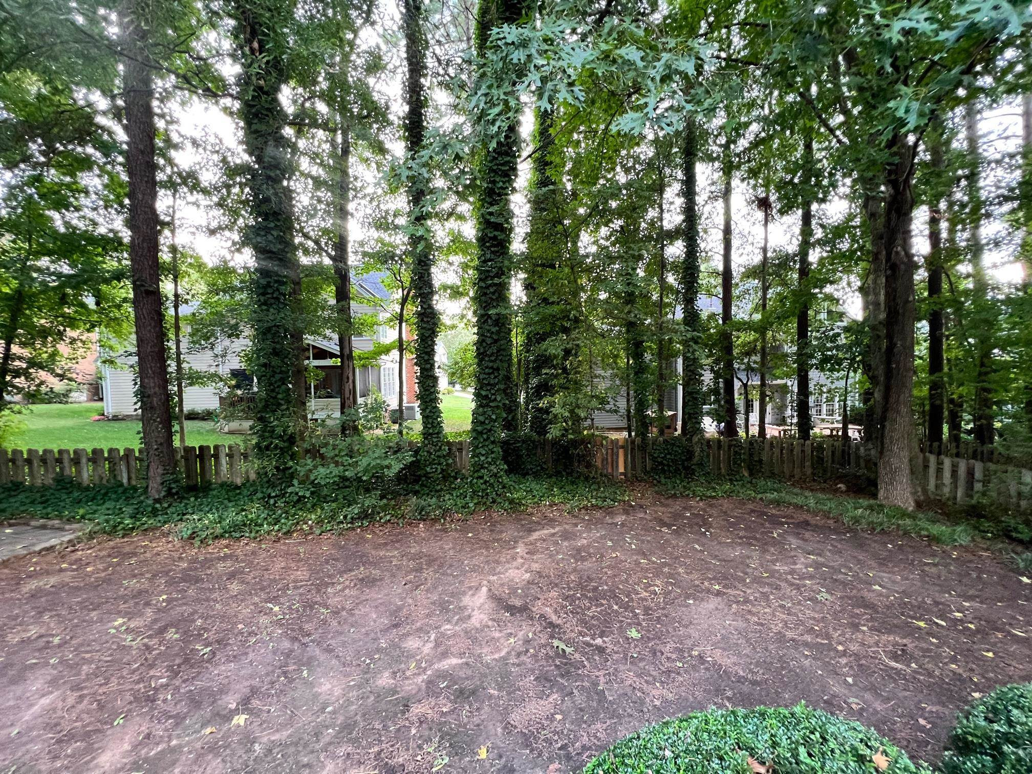 323 Parkmeadow Drive