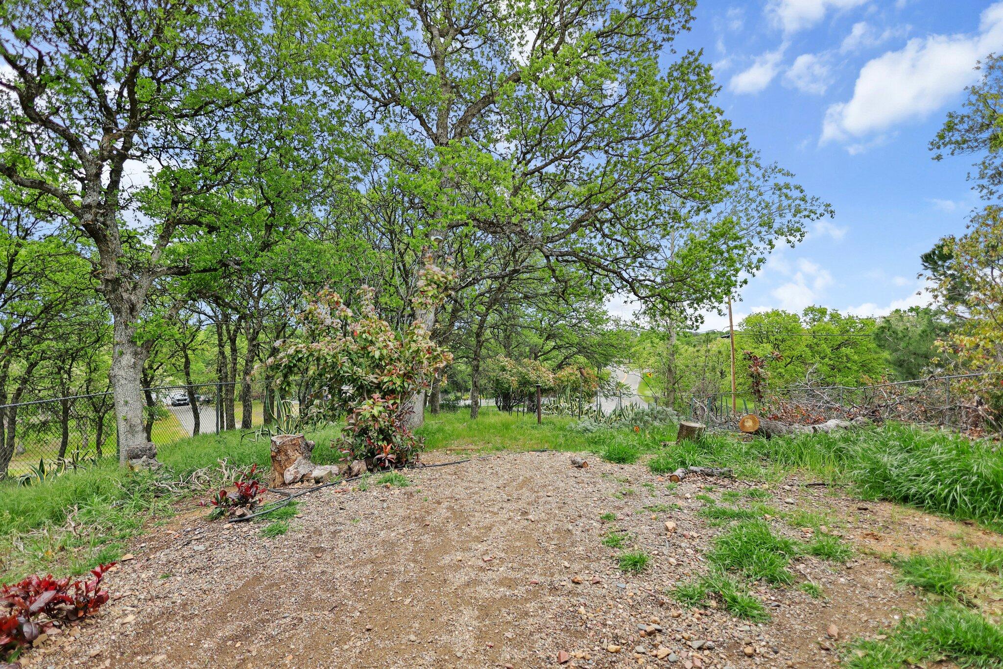 21380 Wilcox Road