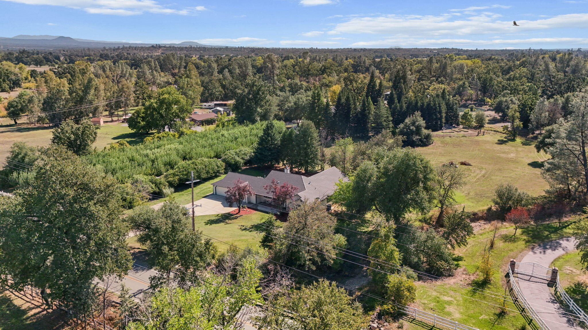 22231 Old 44 Drive