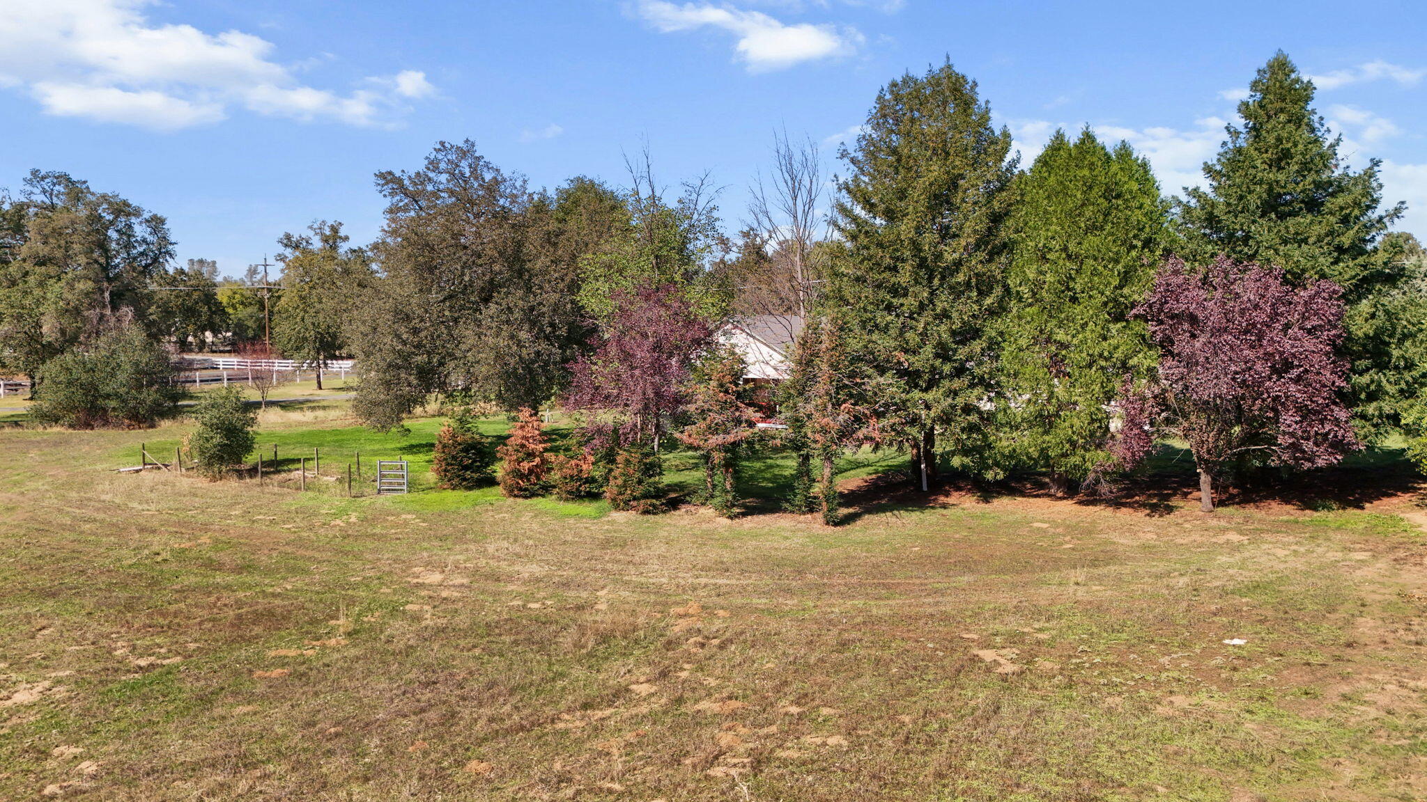 22231 Old 44 Drive