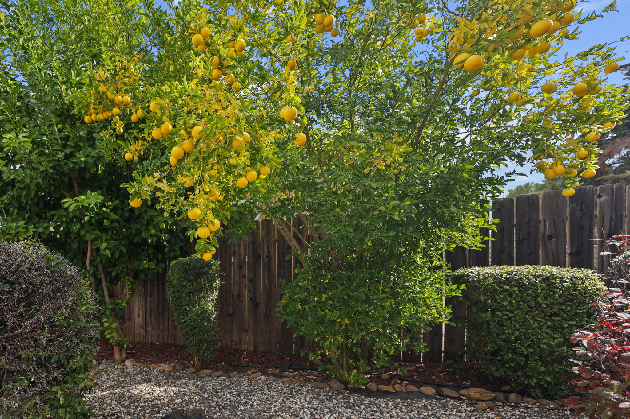 4445 Honeycomb Way, Redding