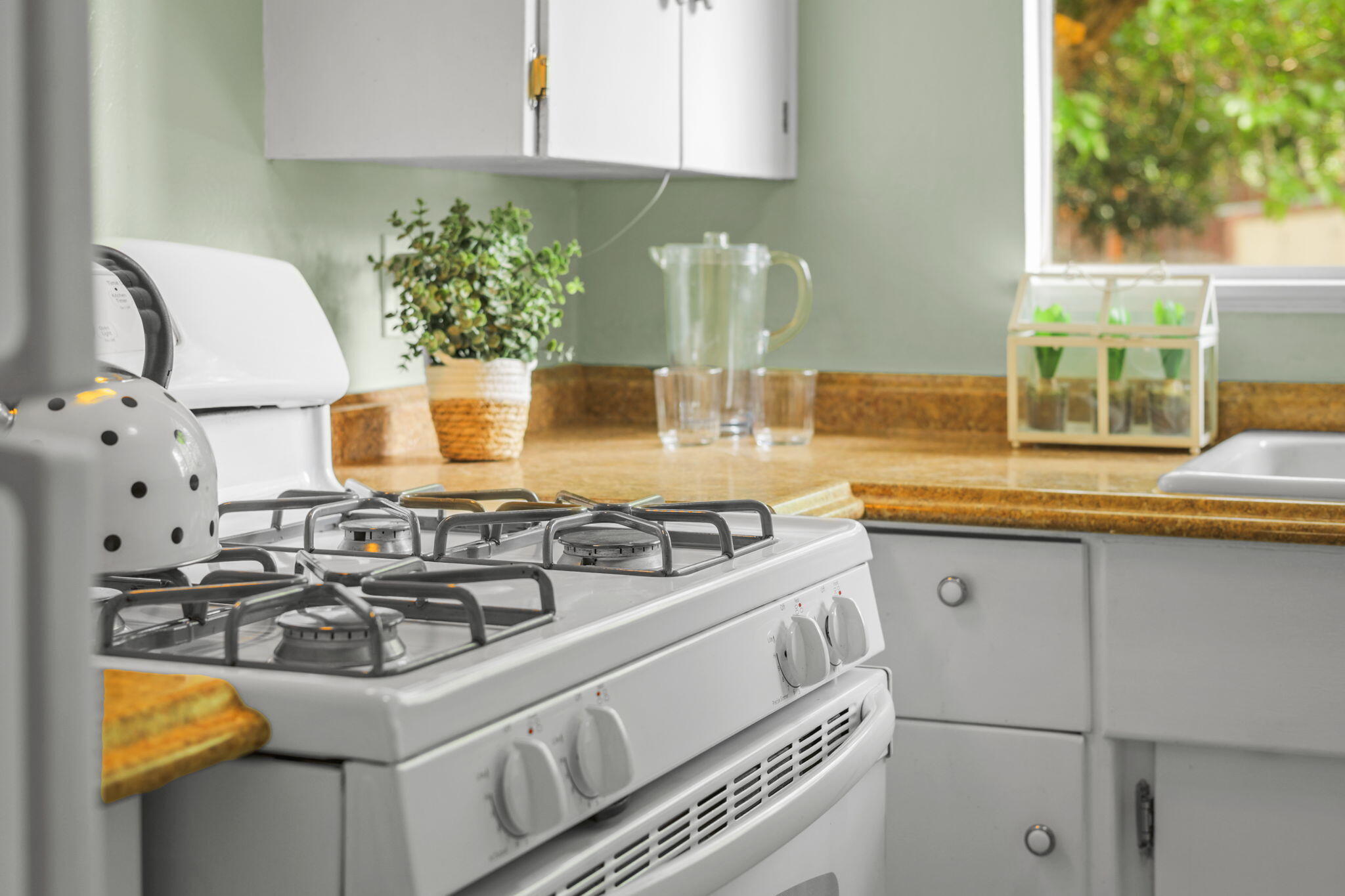 1335 Lodgepole Avenue