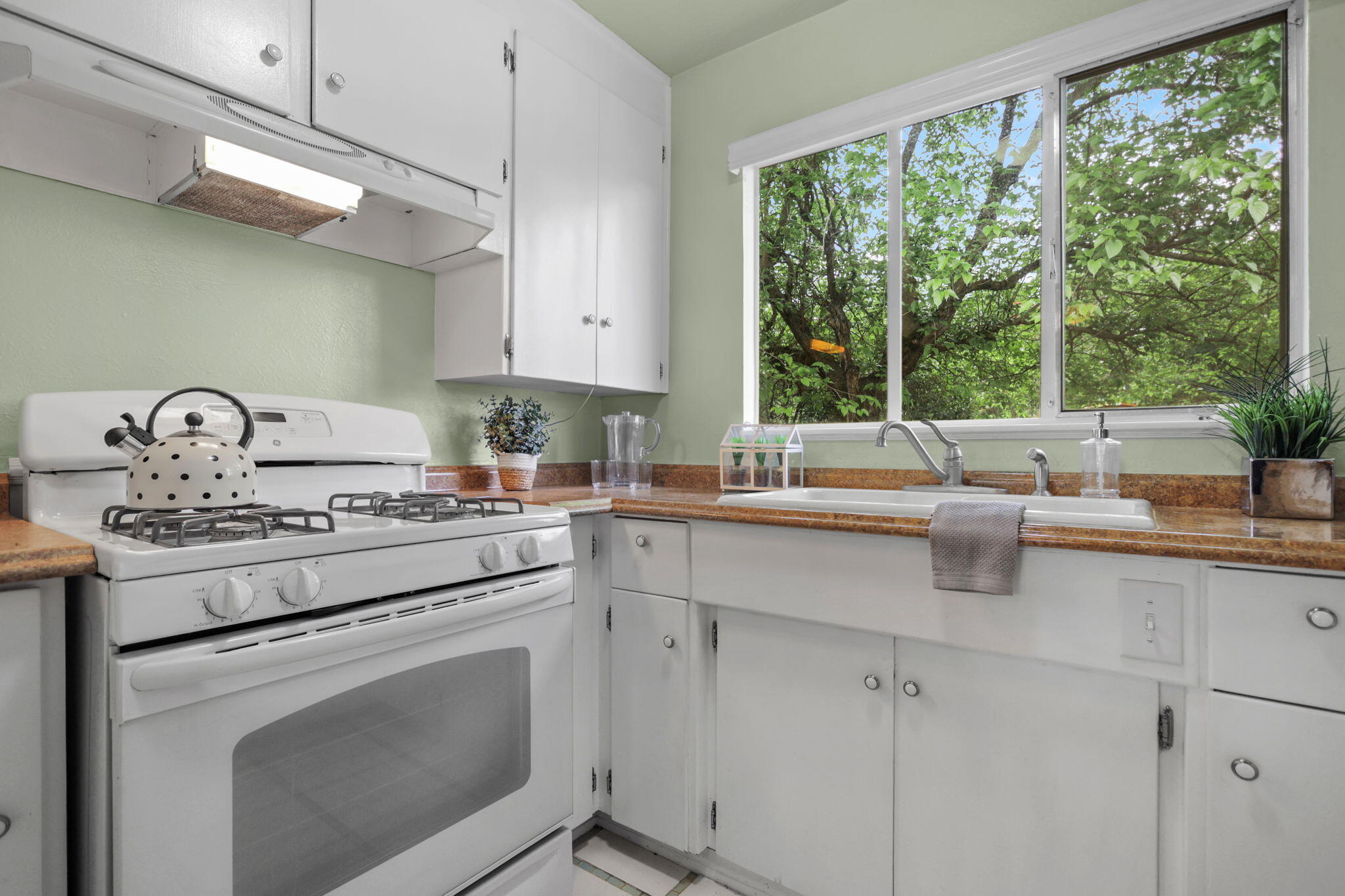 1335 Lodgepole Avenue