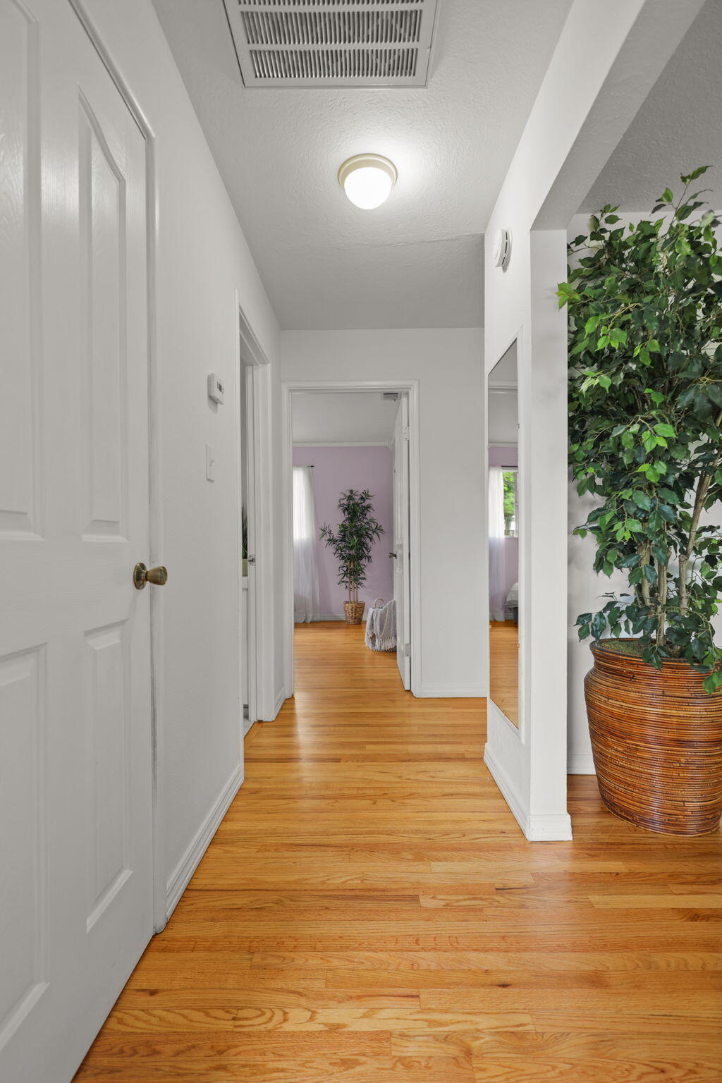 1335 Lodgepole Avenue