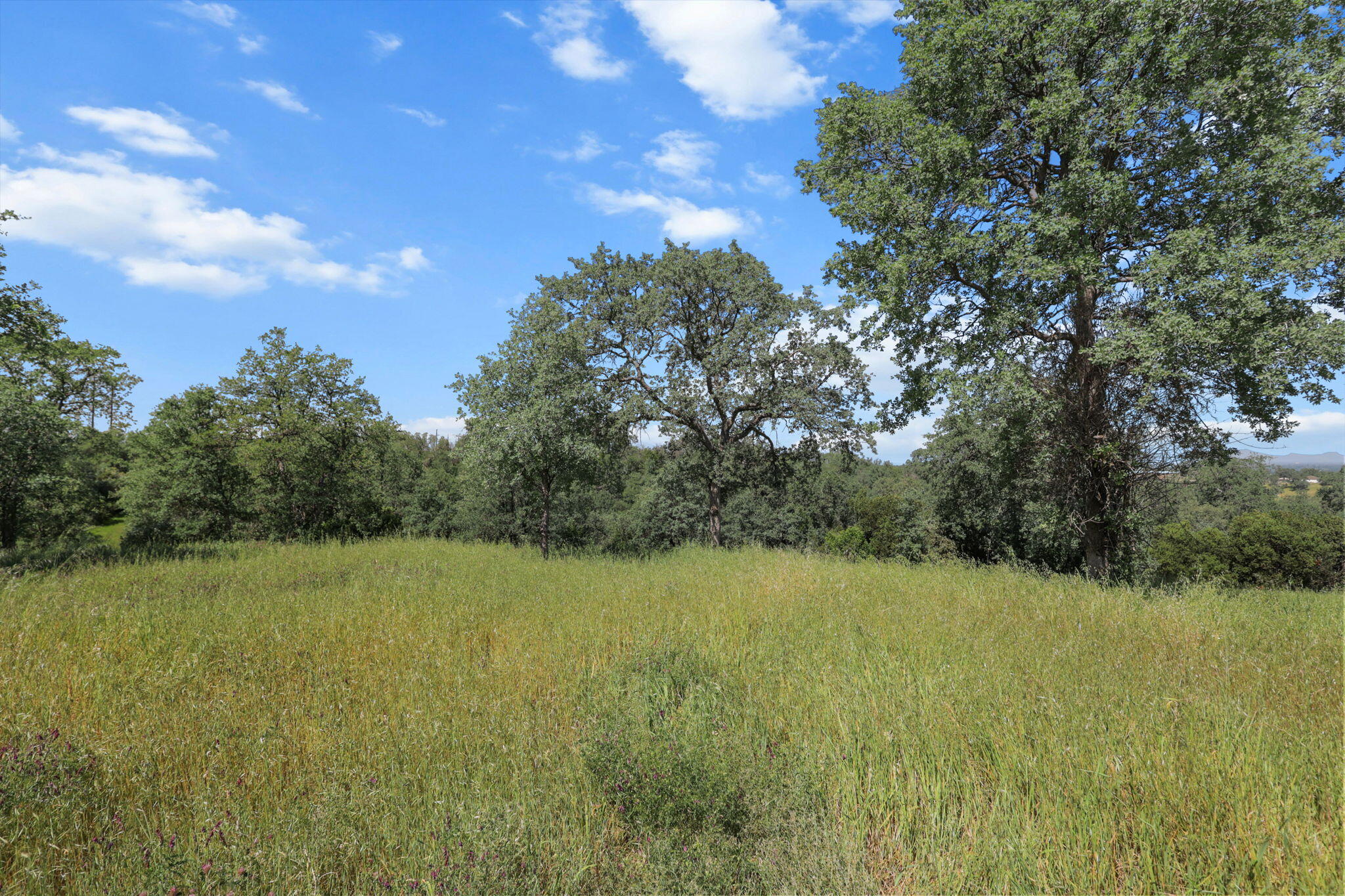 4674 Pleasant Hills Drive