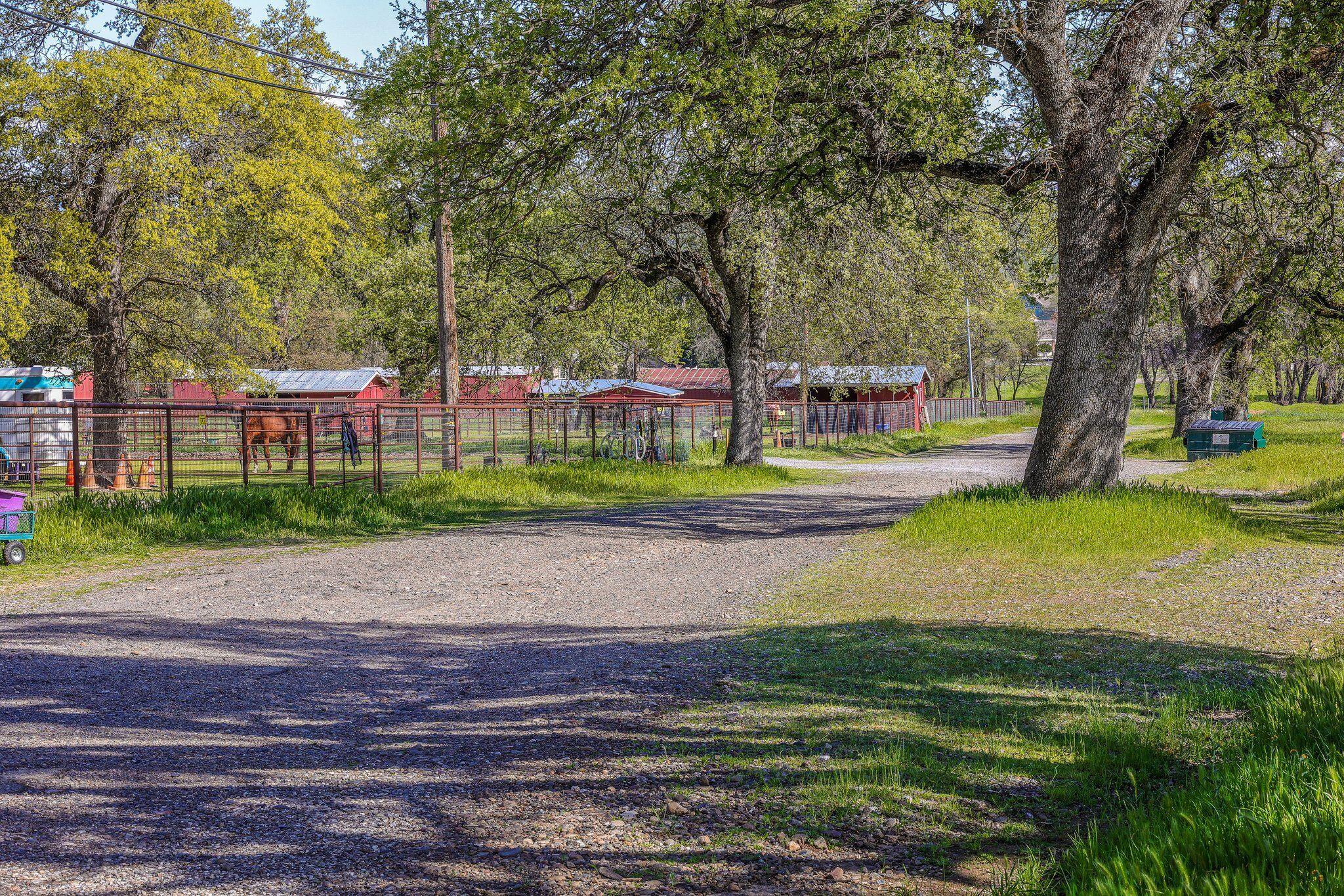 19603 Stoney Ford Place