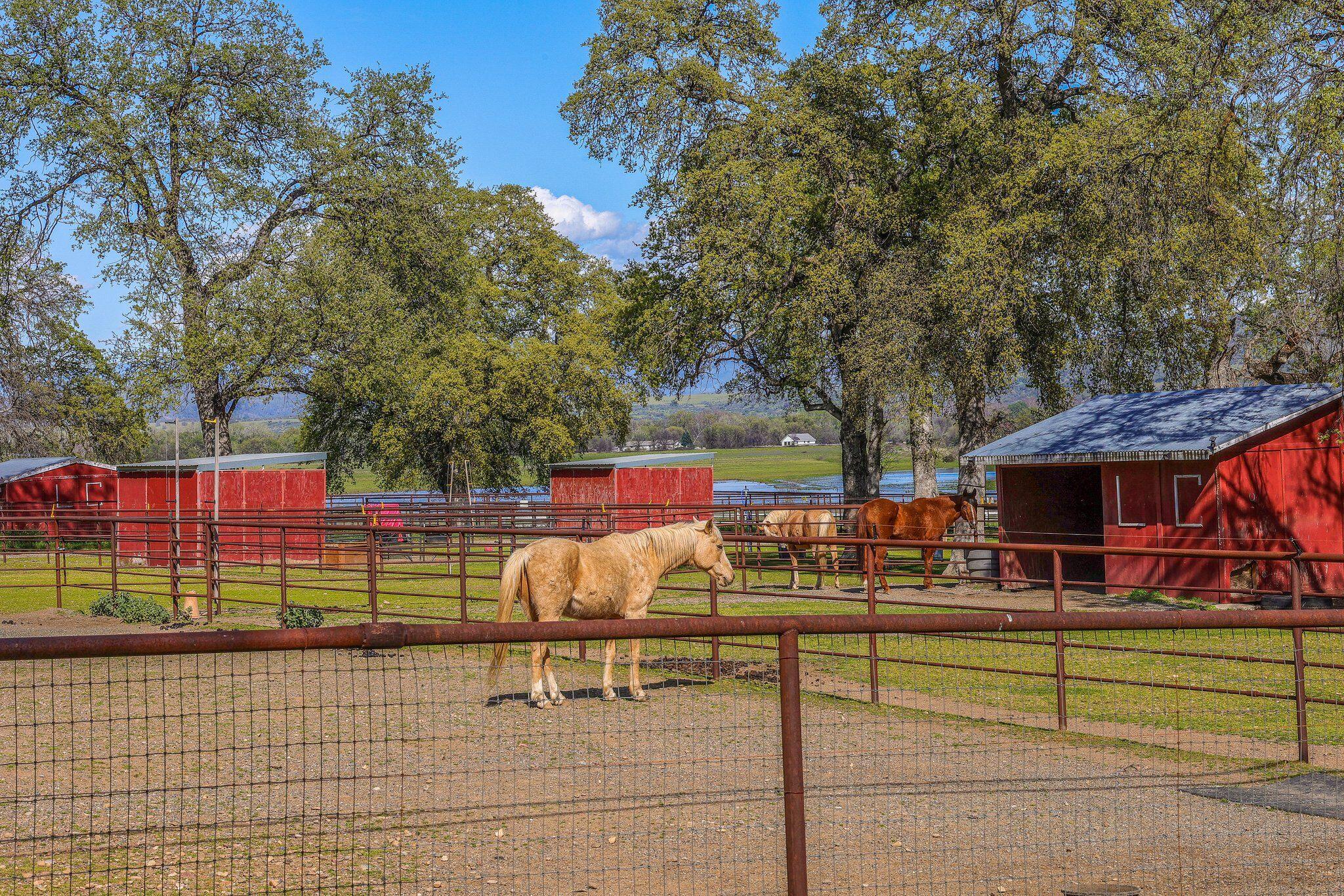 19603 Stoney Ford Place