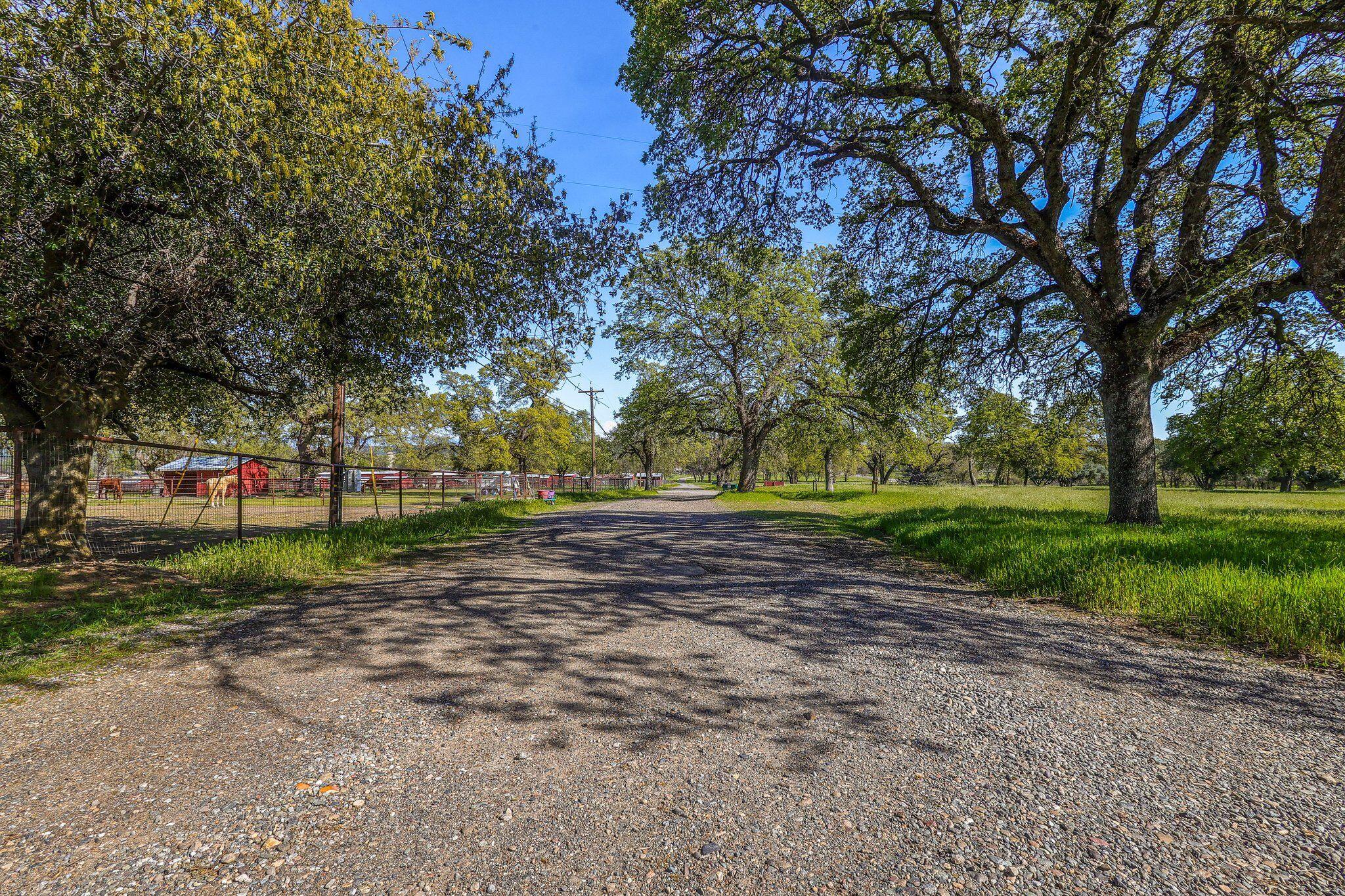 19603 Stoney Ford Place