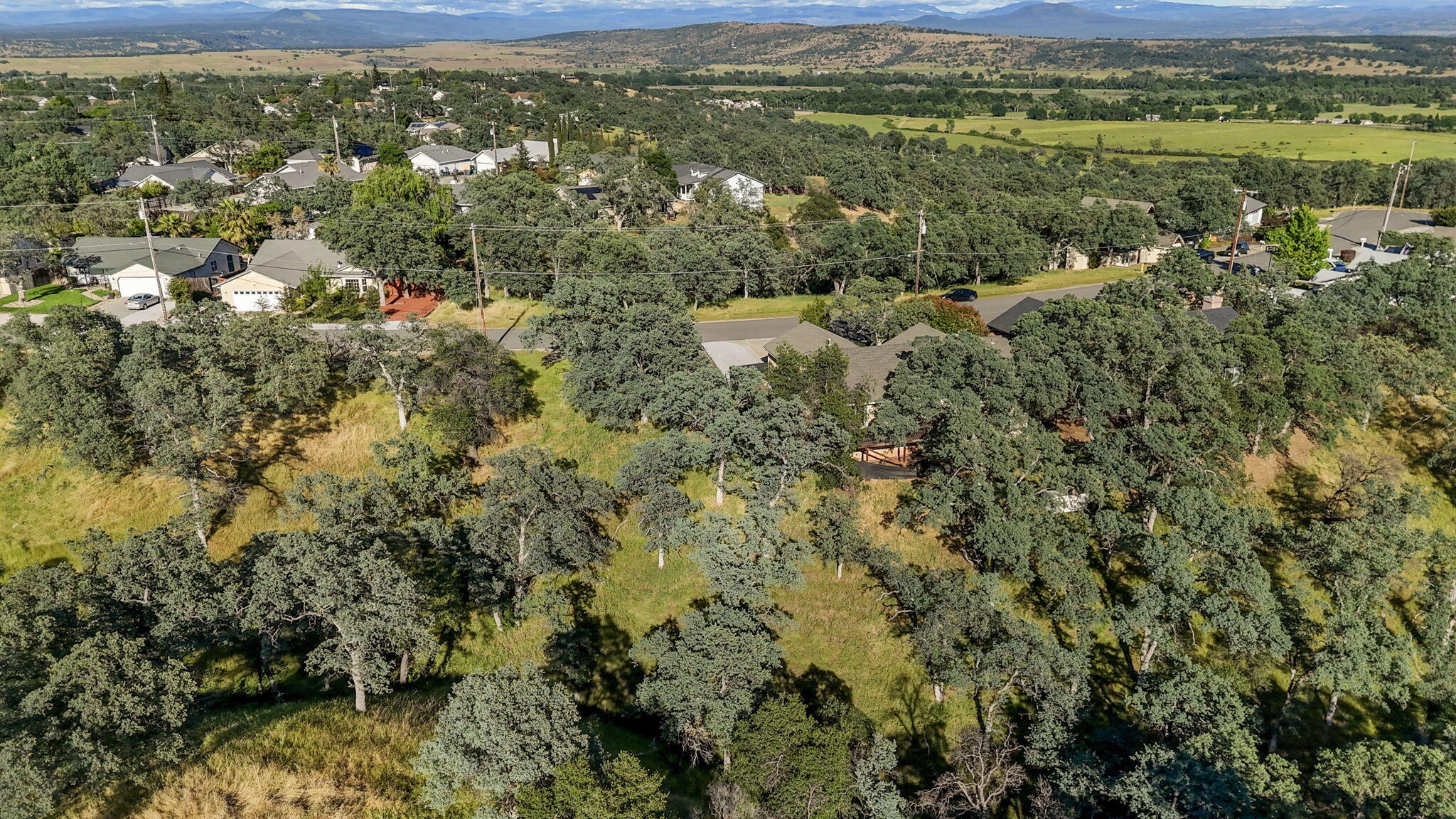 19603 Stoney Ford Place