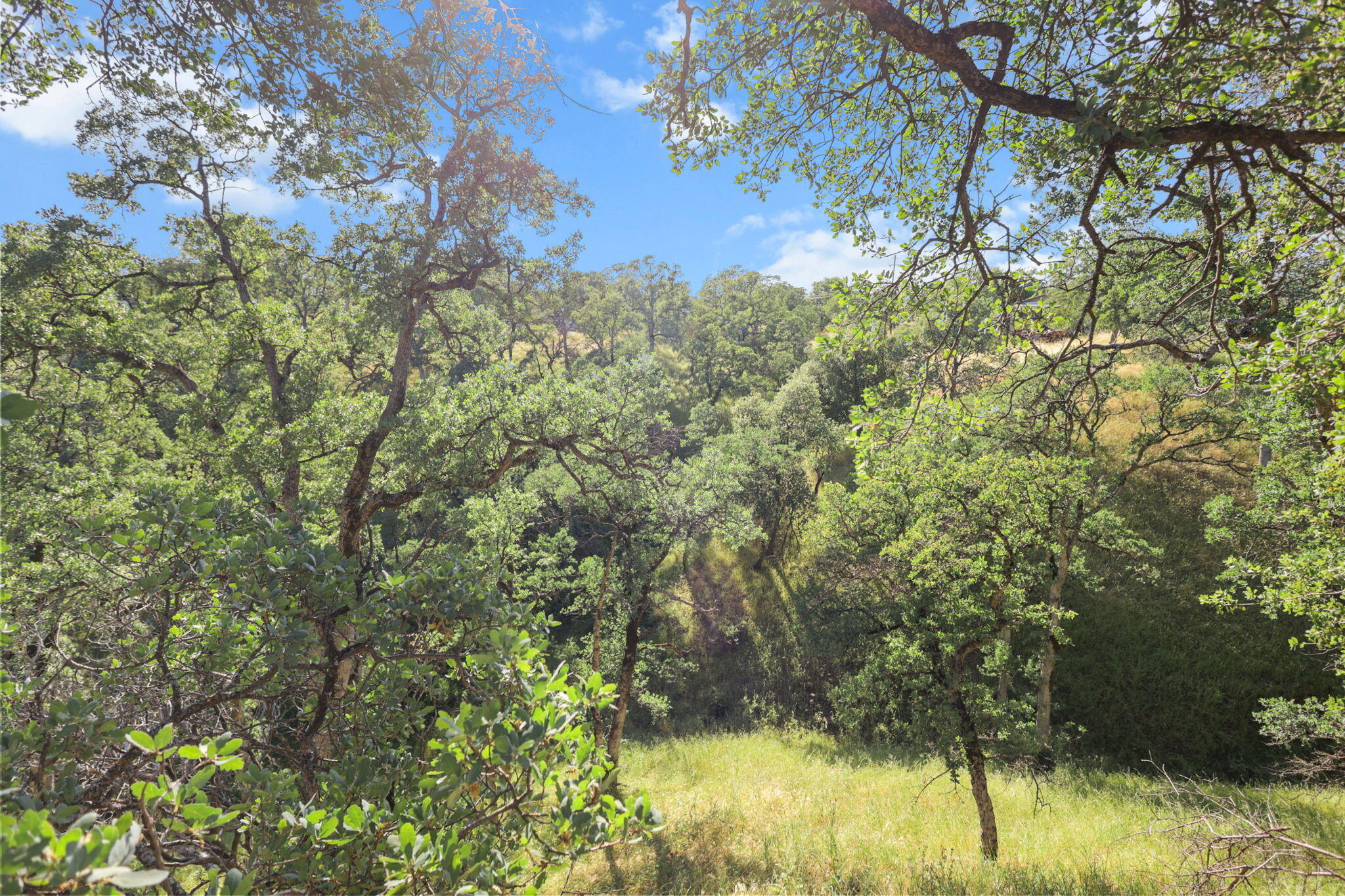 19603 Stoney Ford Place