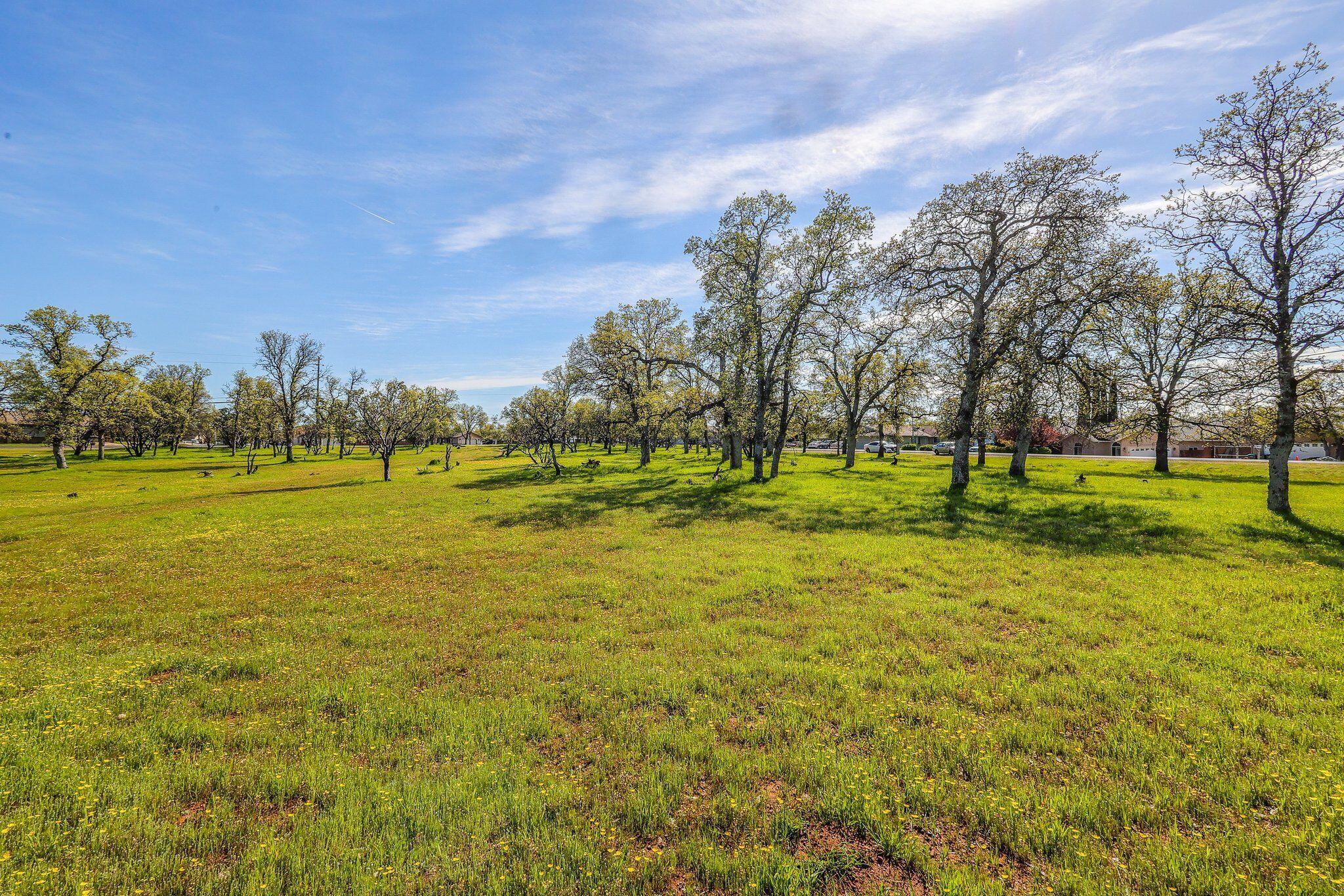 19603 Stoney Ford Place