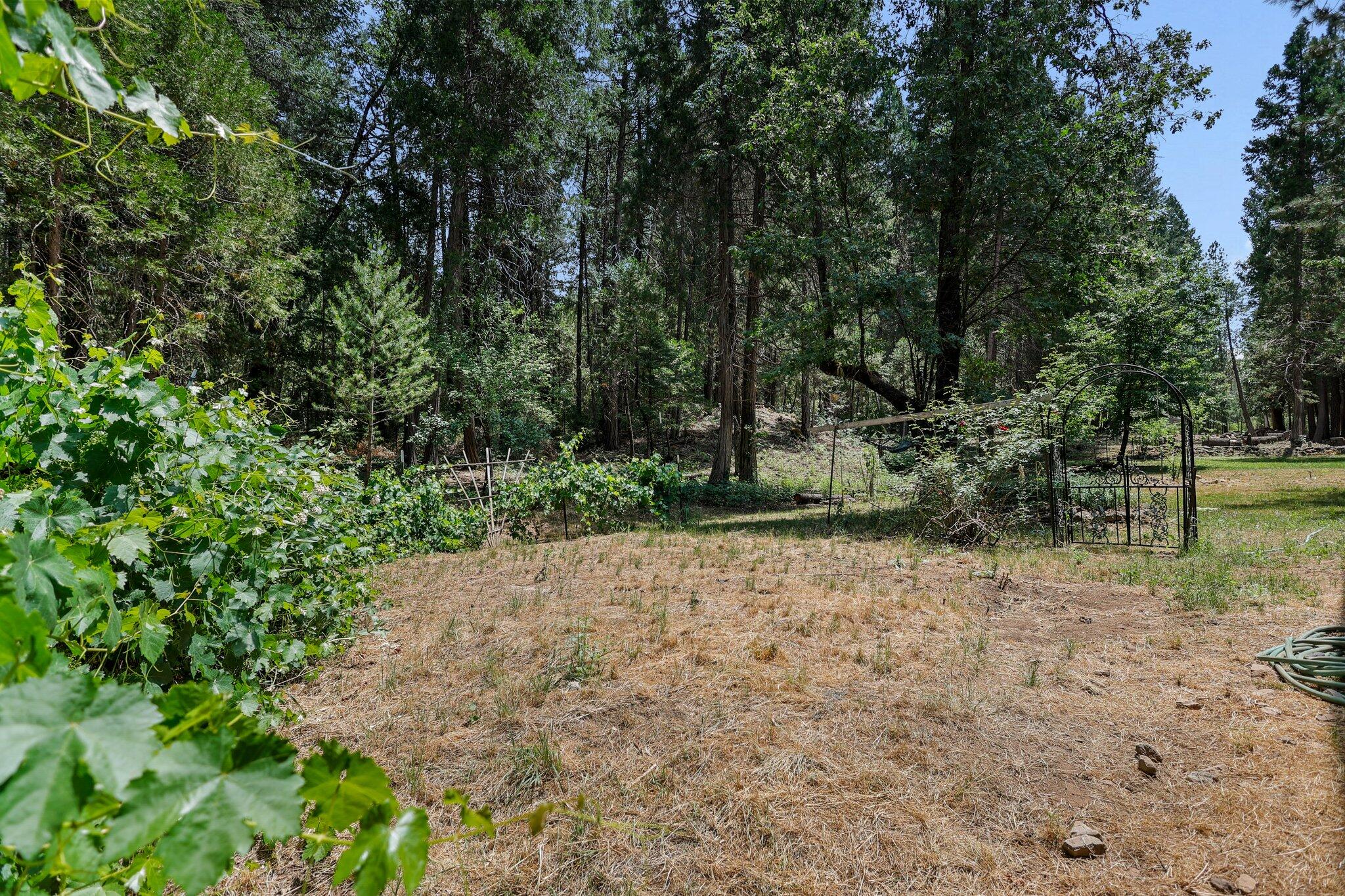 30704 Hagen Flat Road
