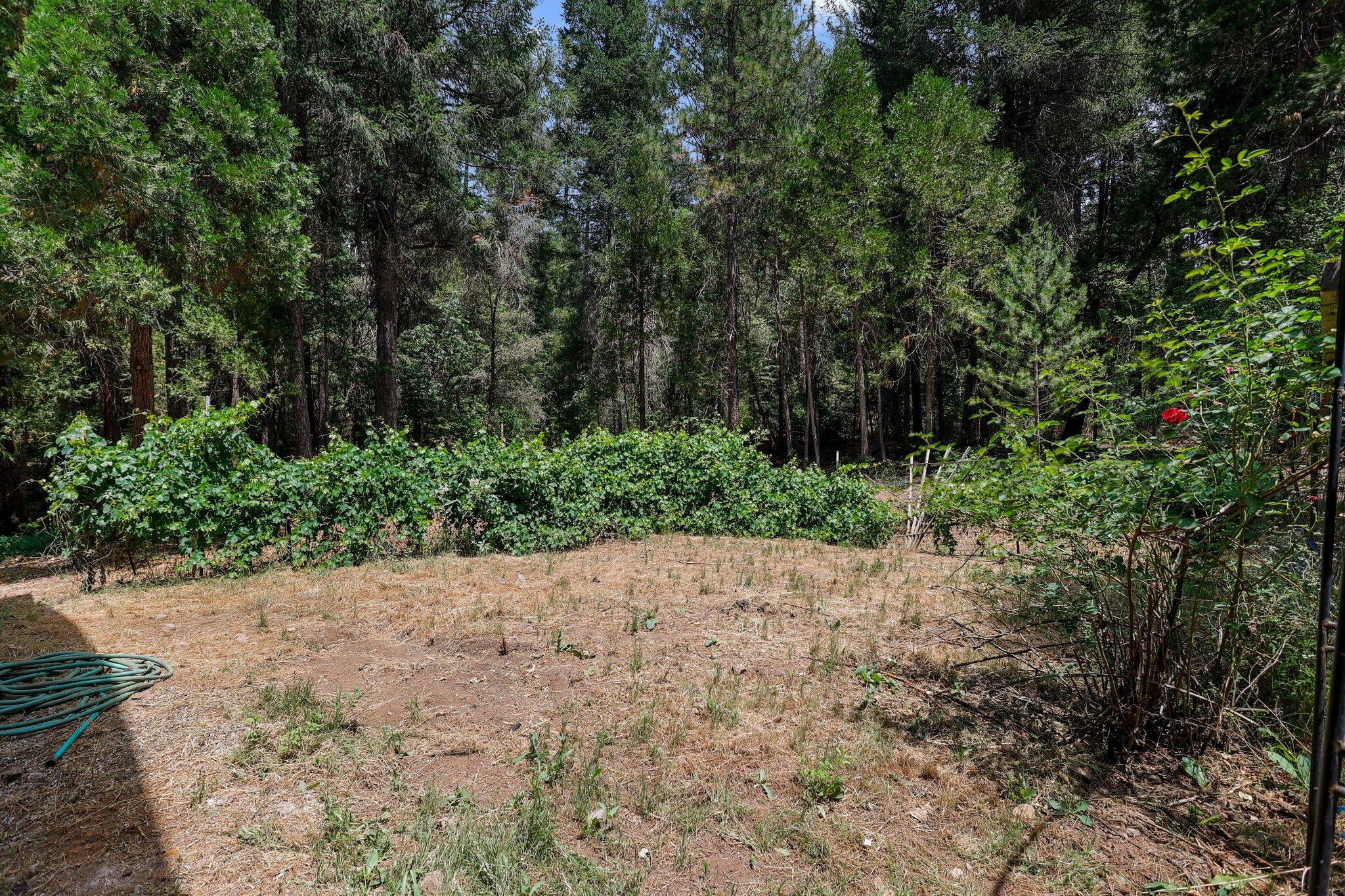 30704 Hagen Flat Road