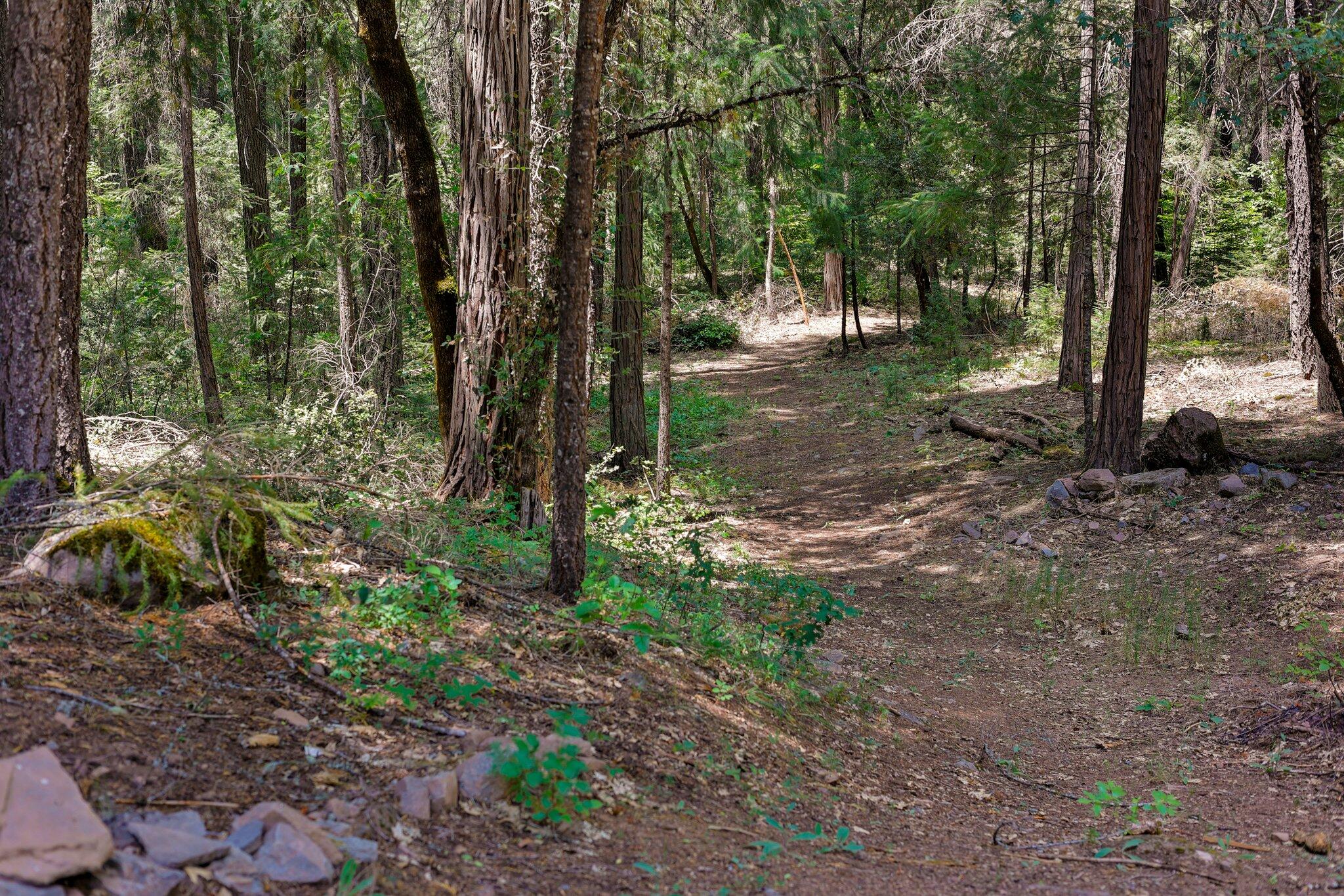 30704 Hagen Flat Road