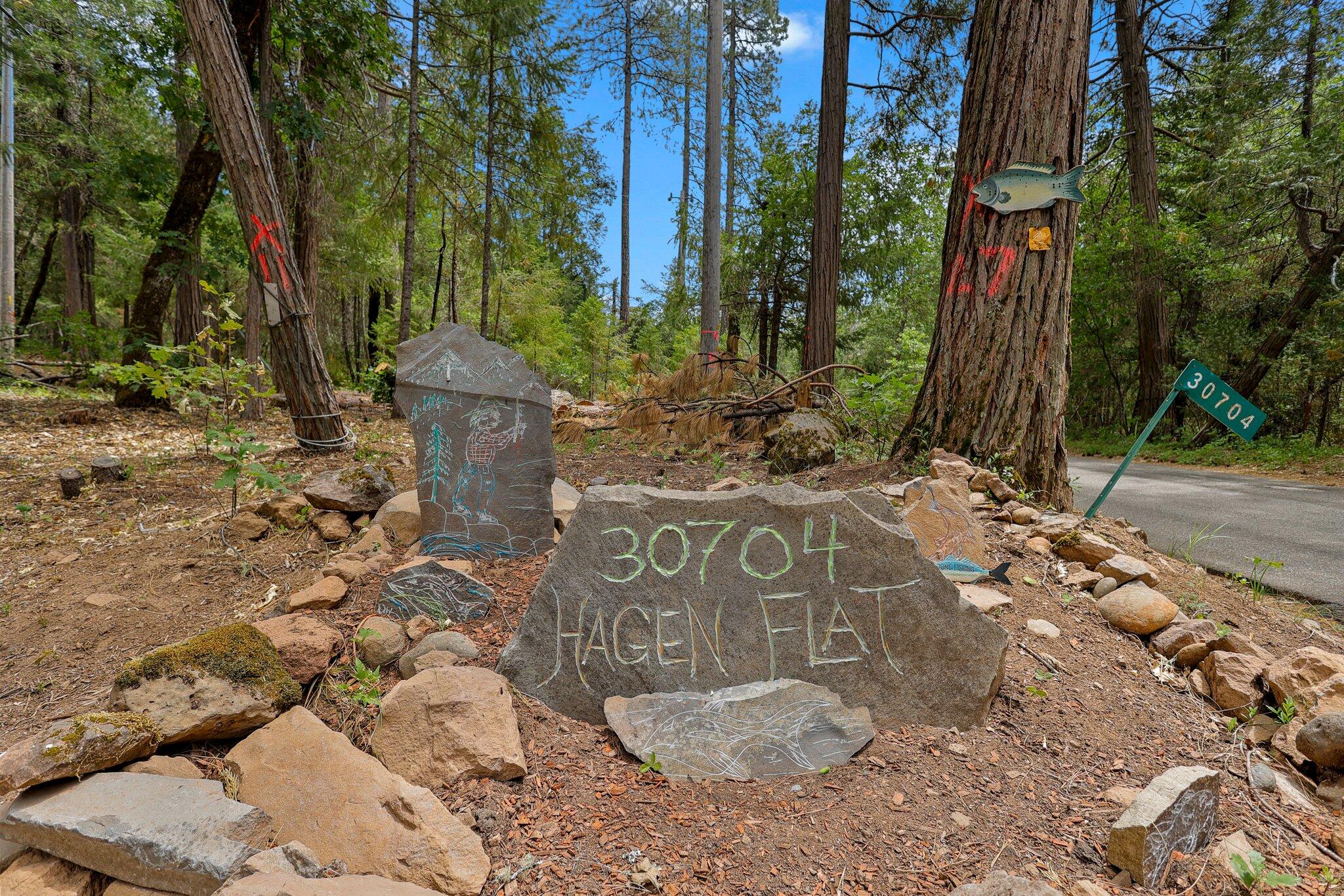 30704 Hagen Flat Road