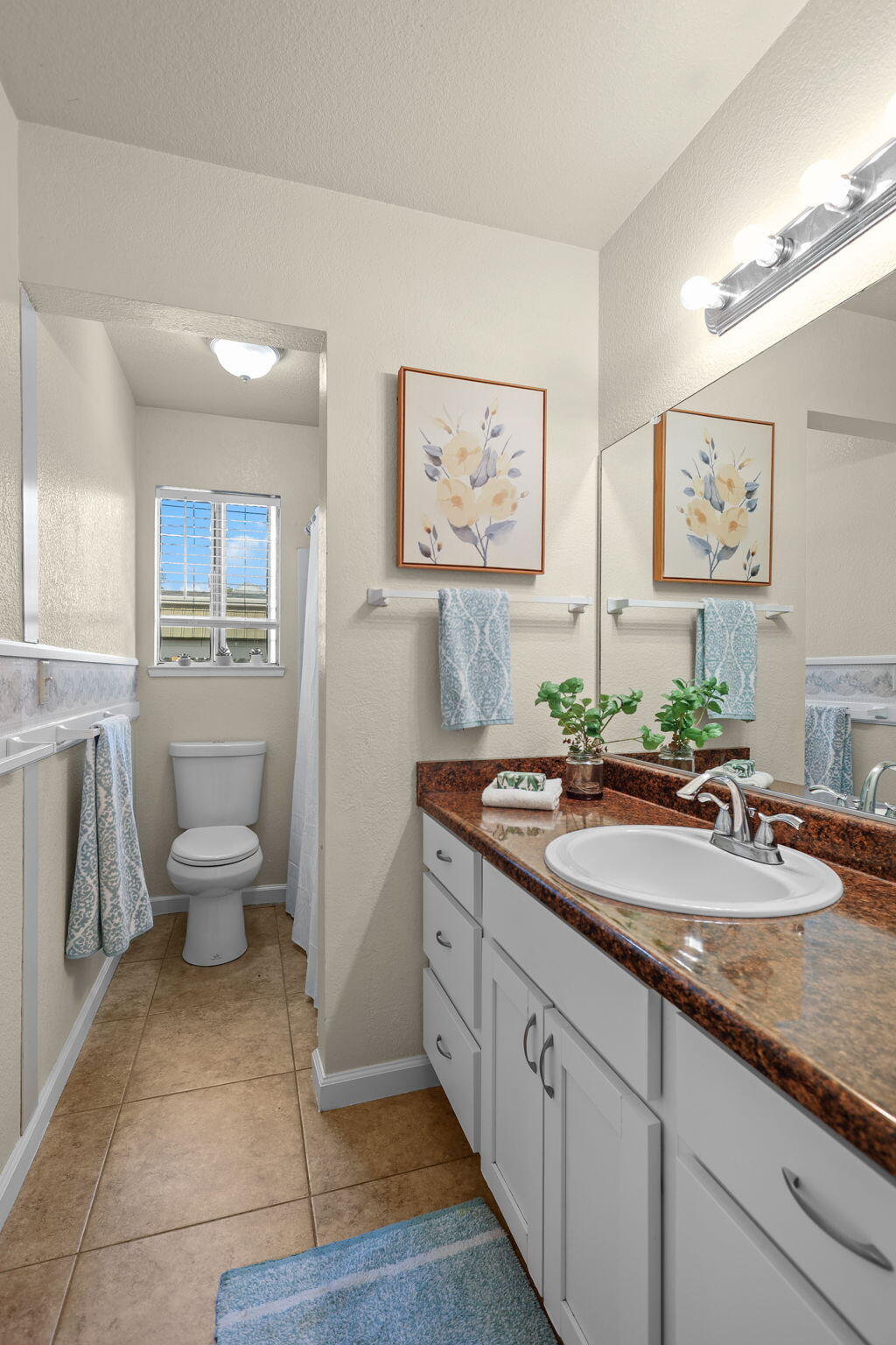 4310 Swallowtail Court