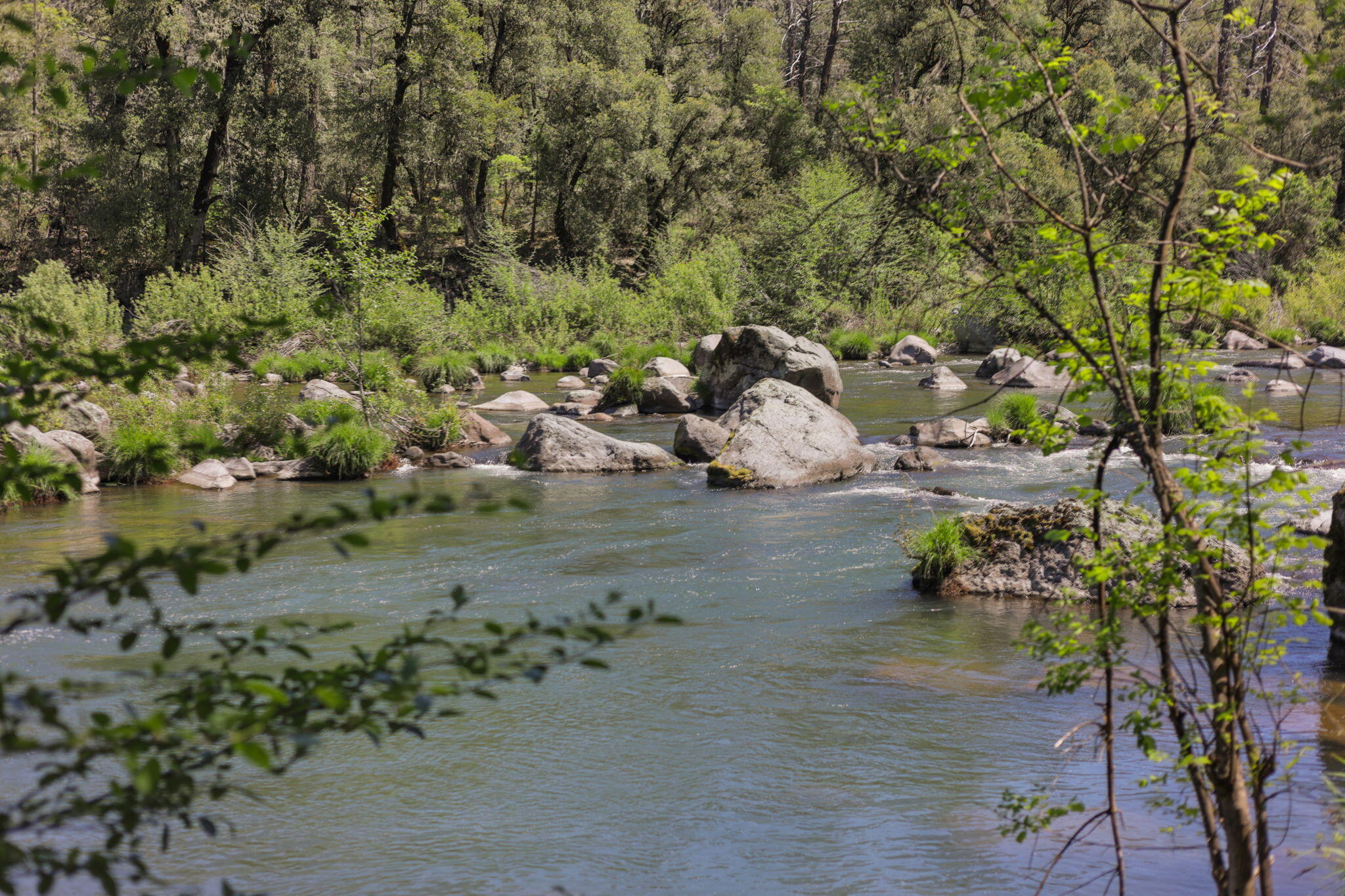 30728 Hagen Flat Road