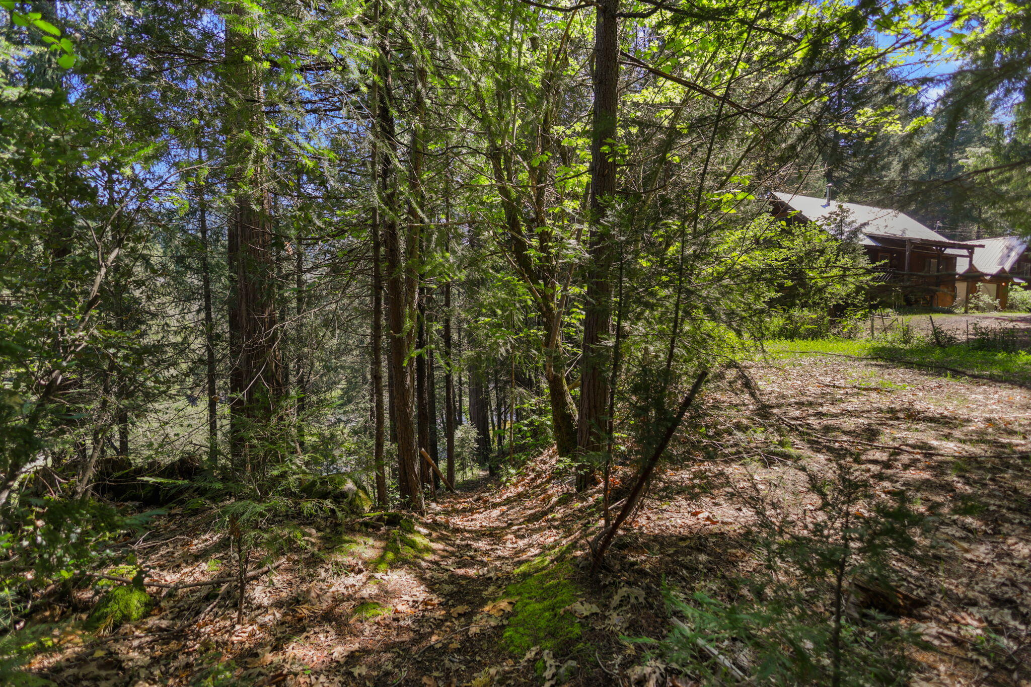 30728 Hagen Flat Road