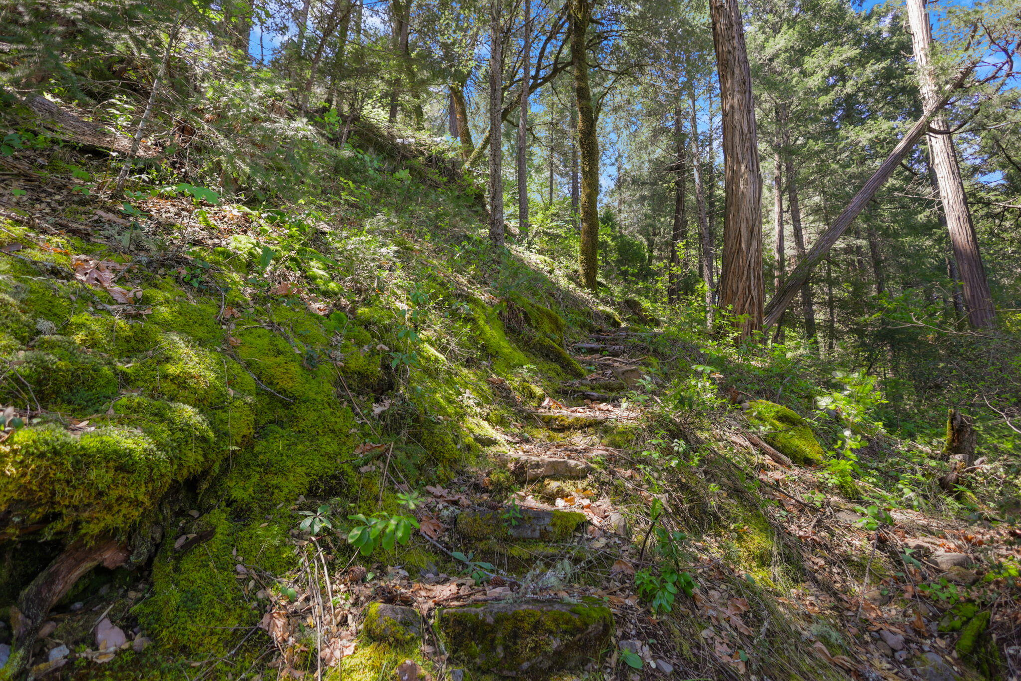 30728 Hagen Flat Road