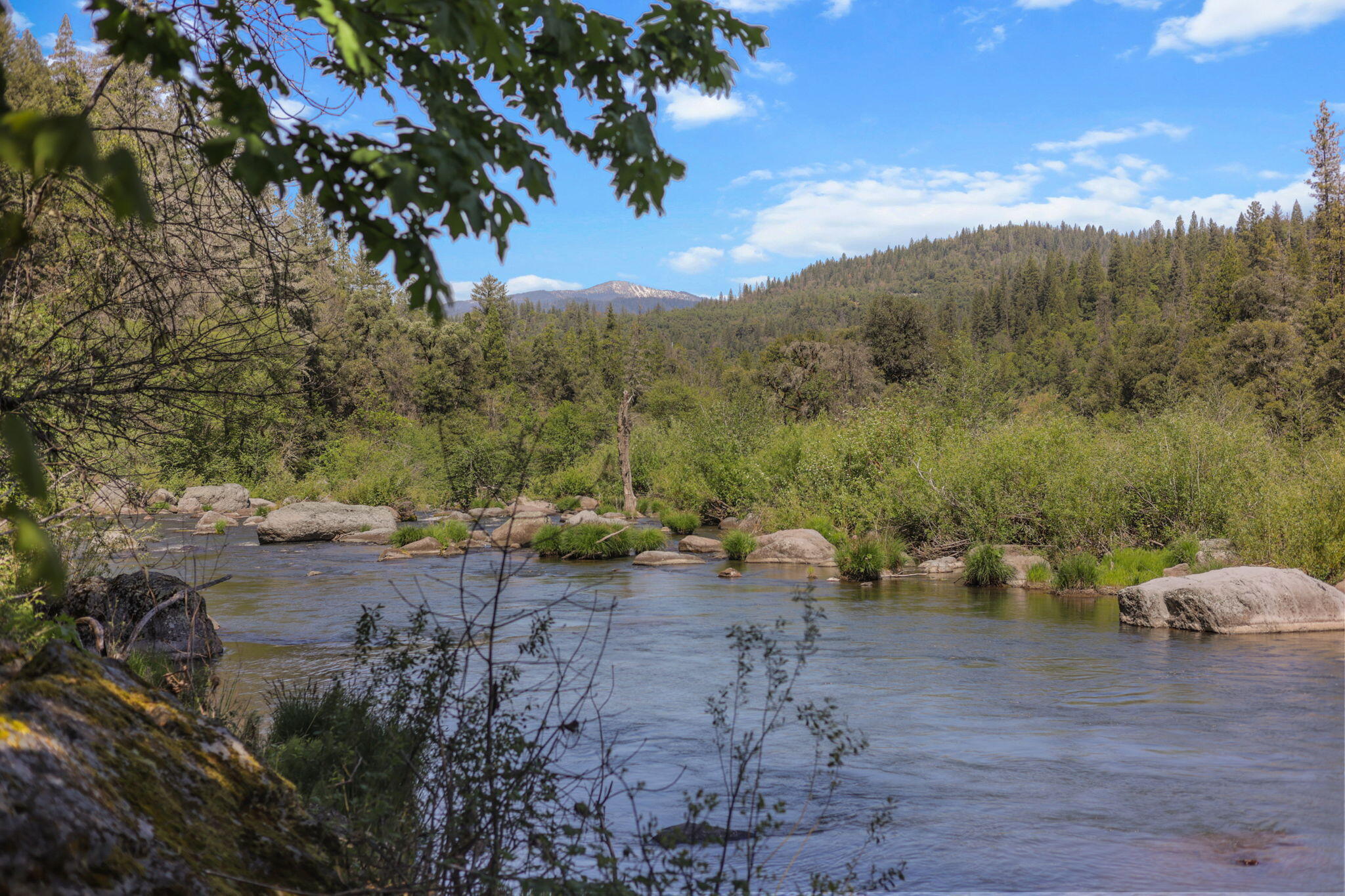 30728 Hagen Flat Road