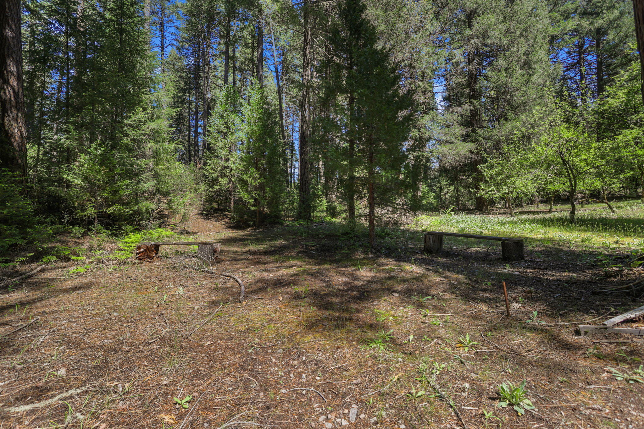 30728 Hagen Flat Road