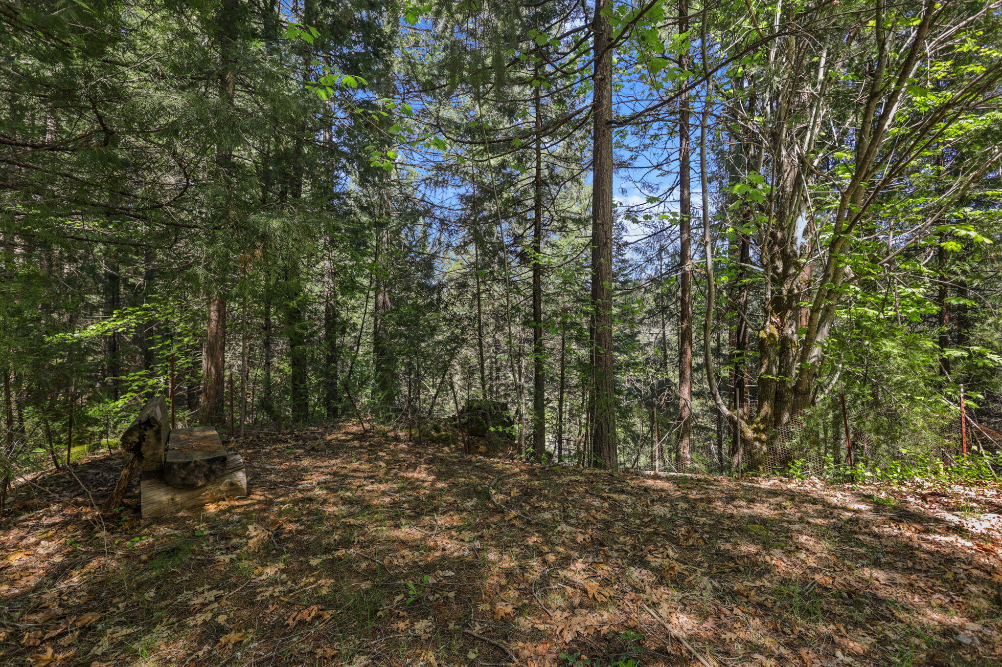 30728 Hagen Flat Road