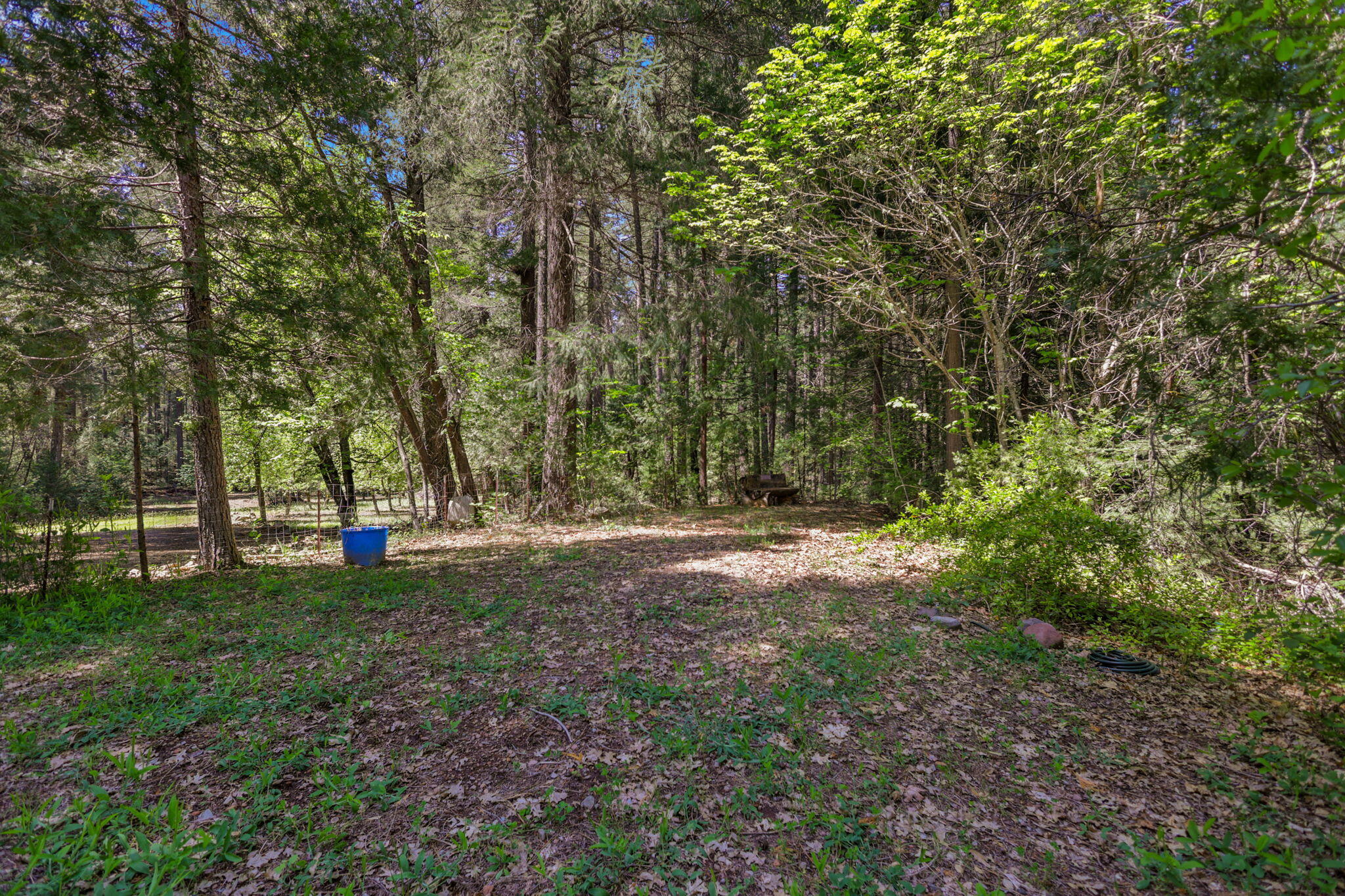 30728 Hagen Flat Road