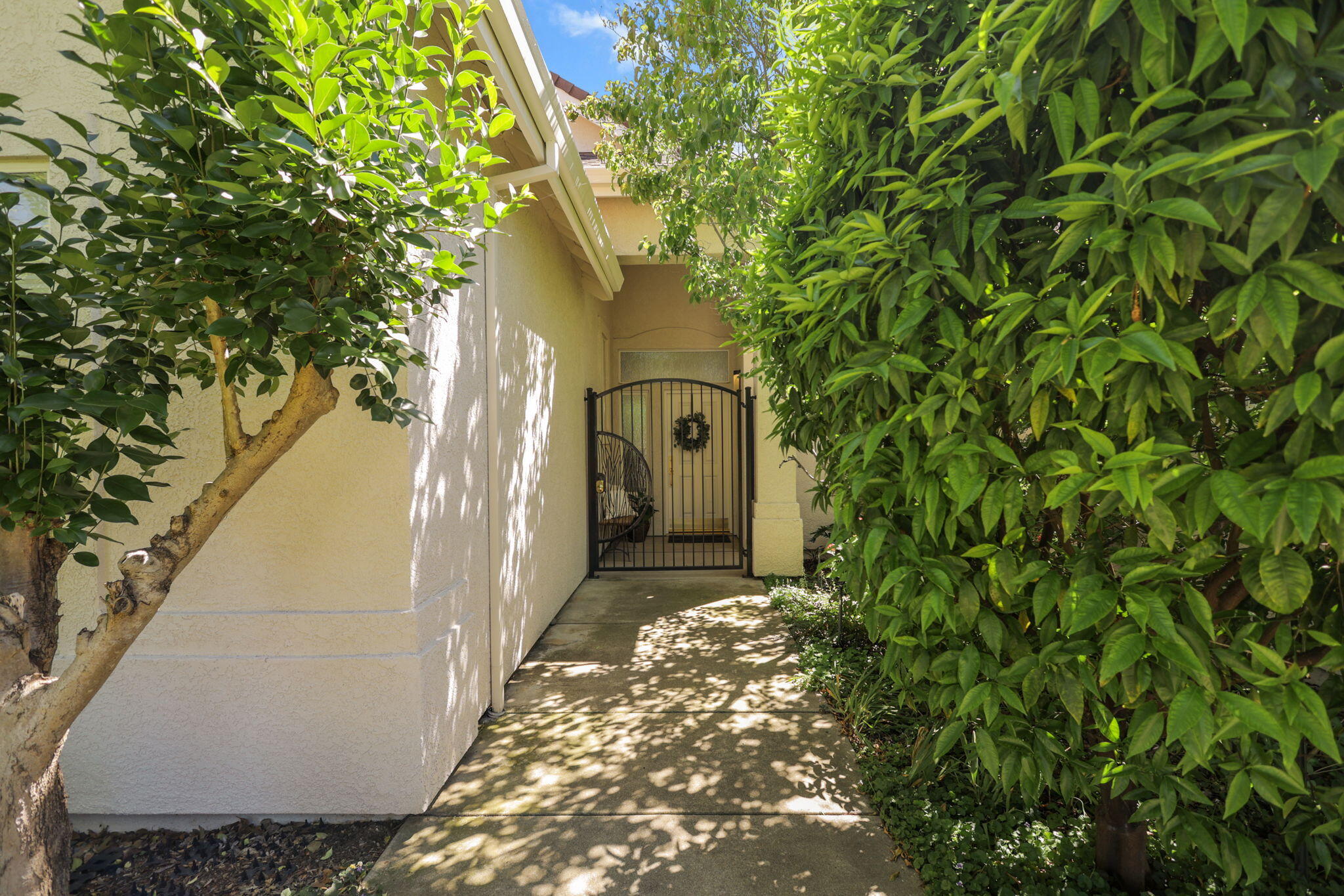 2719 Western Oak Drive