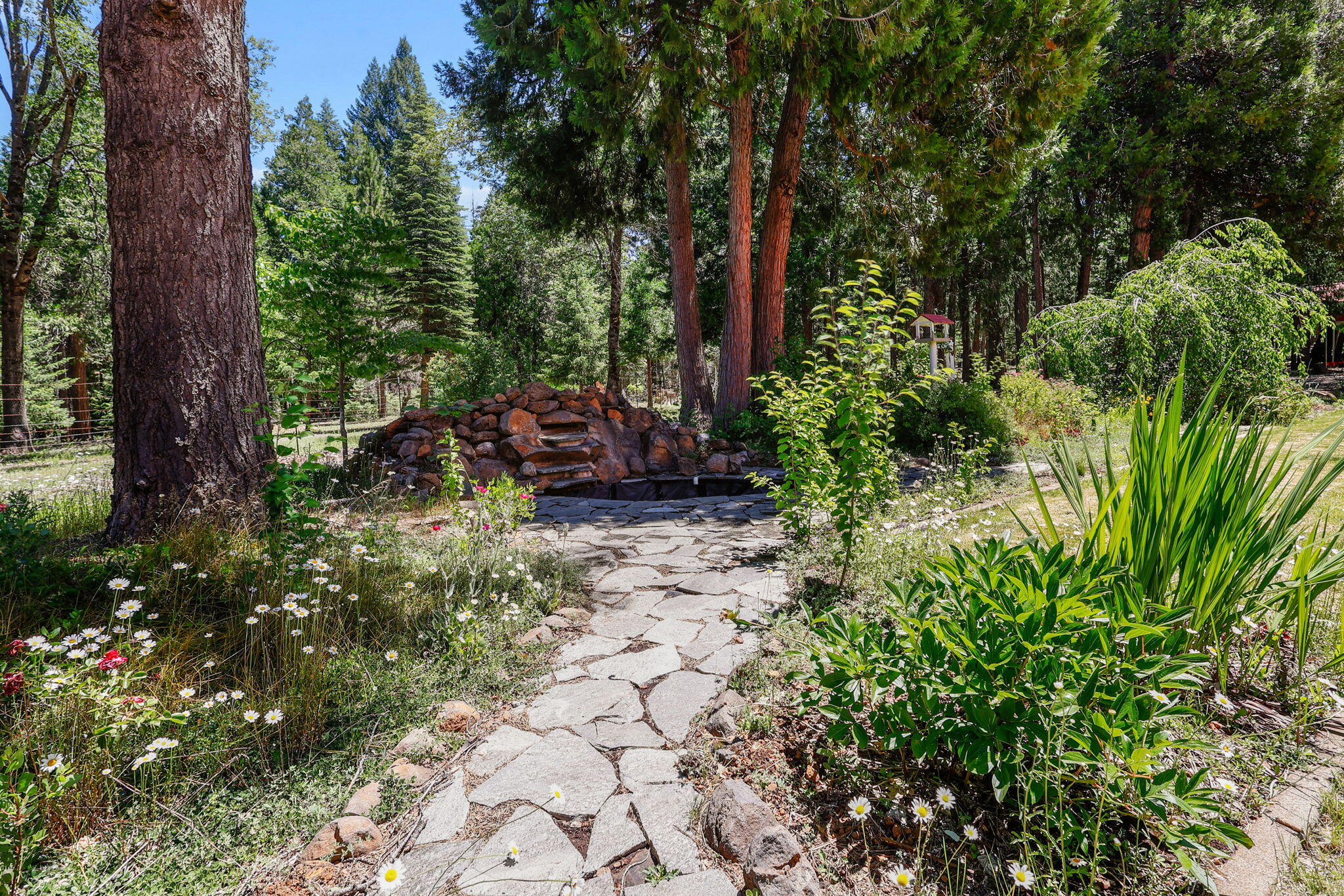 32602 Three Oaks Drive