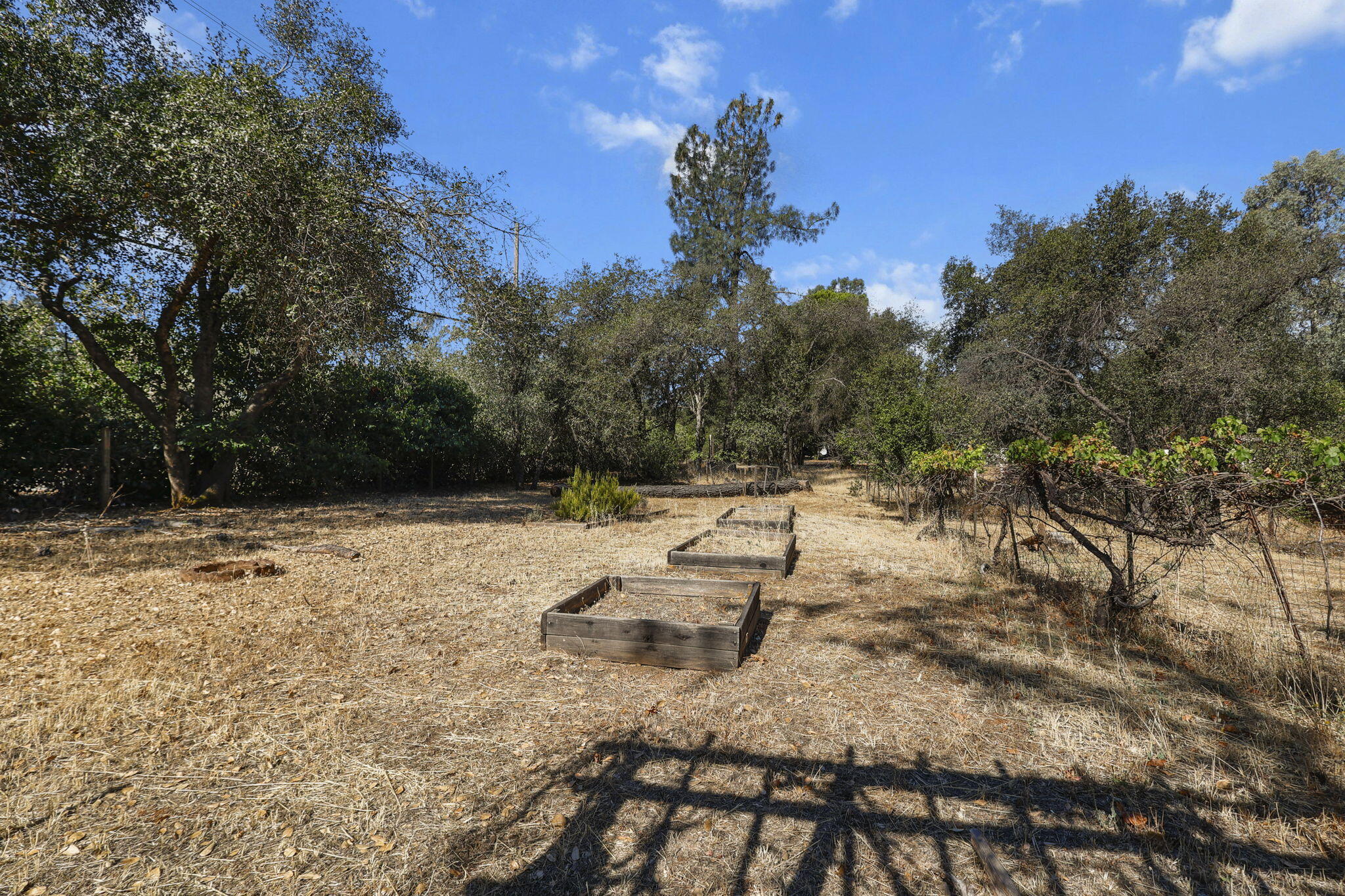 17604 China Gulch