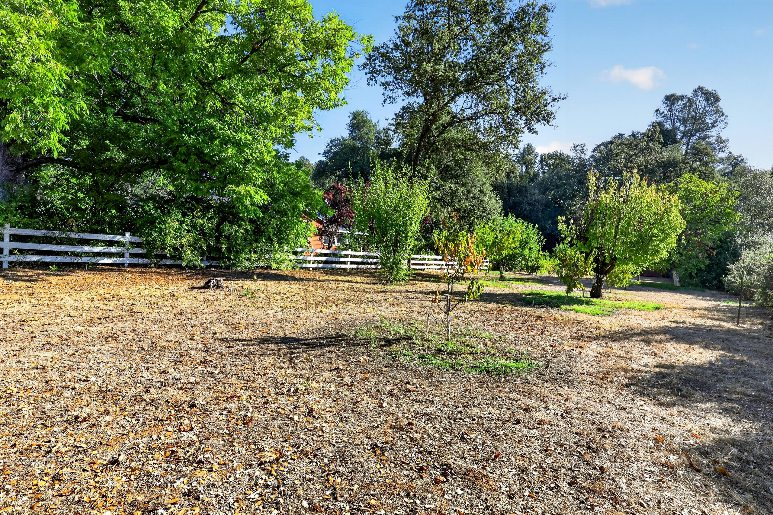 7399 Dilley Lane
