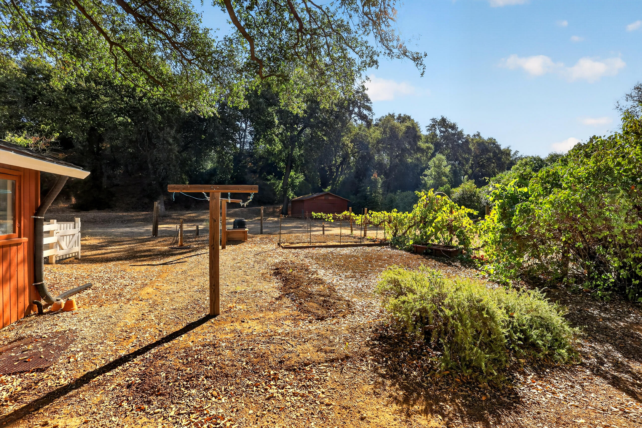 7399 Dilley Lane