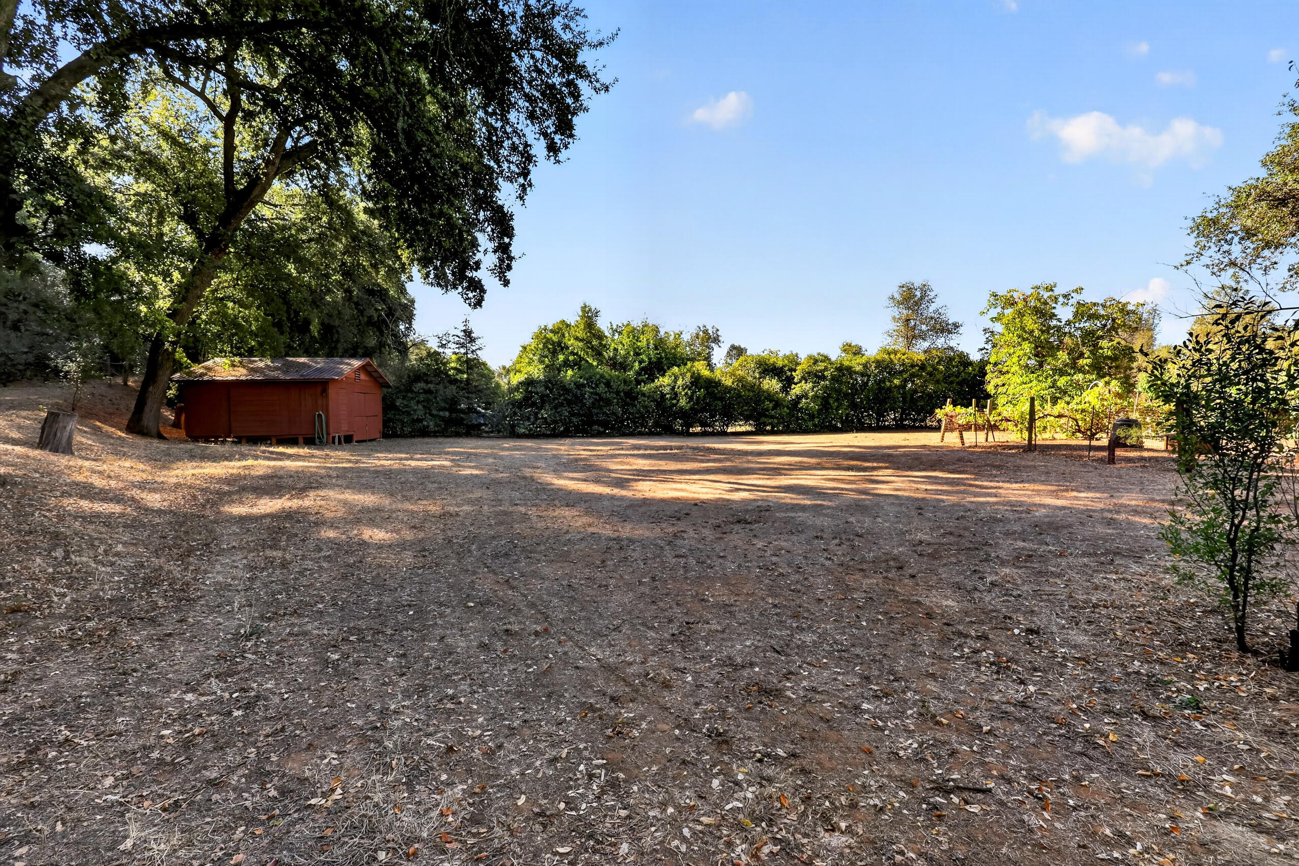 7399 Dilley Lane
