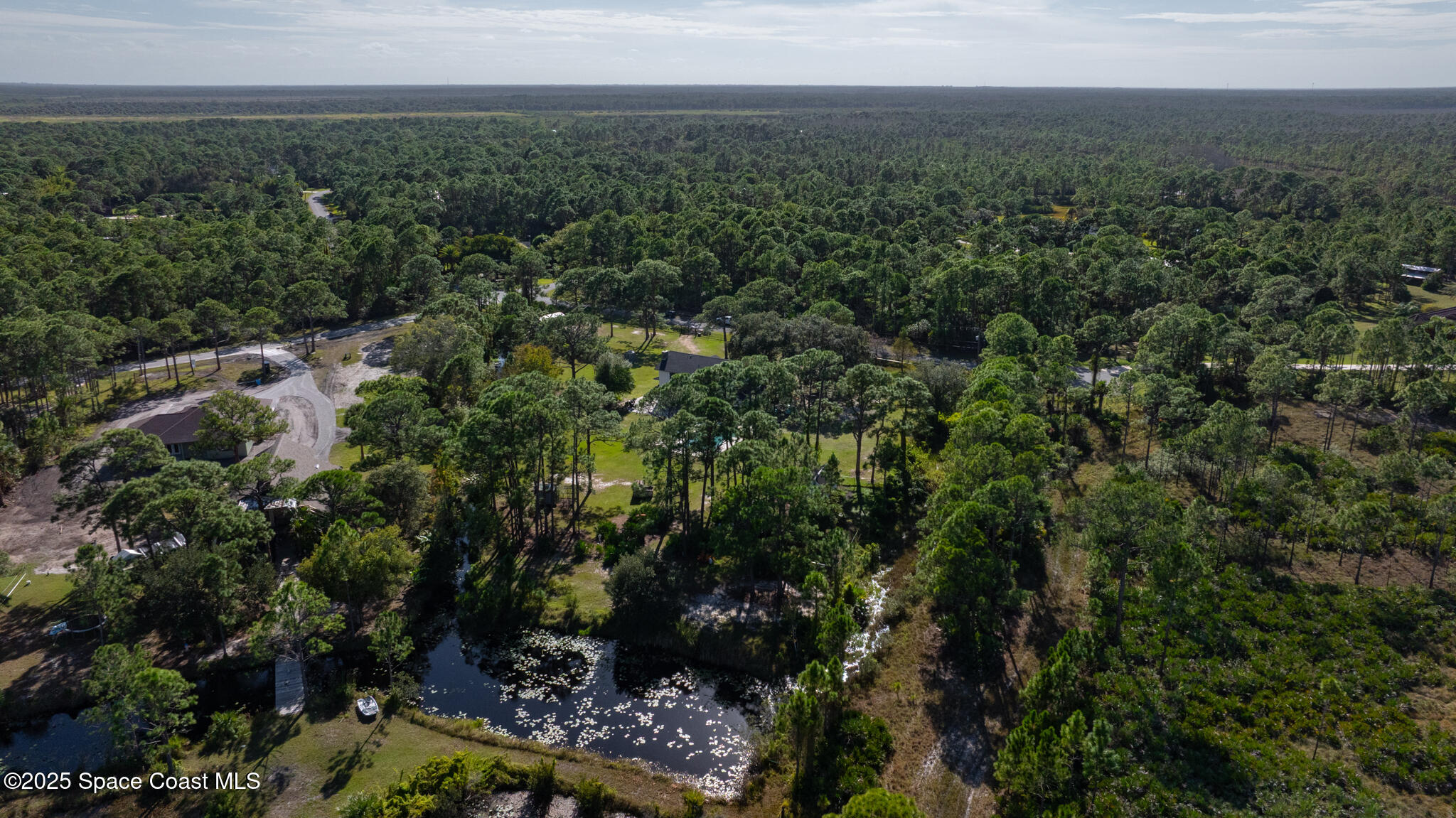 6885 Orchid Tree Drive